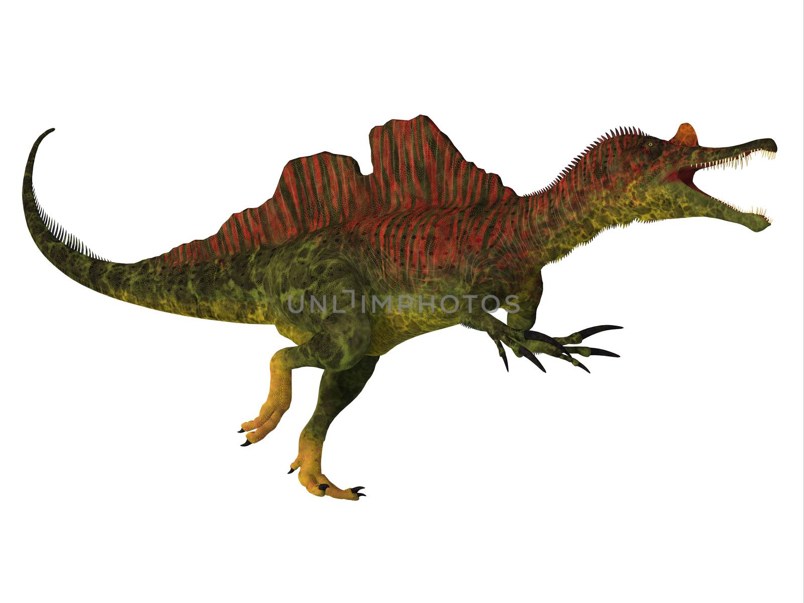 Ichthyovenator Dinosaur Body by Catmando