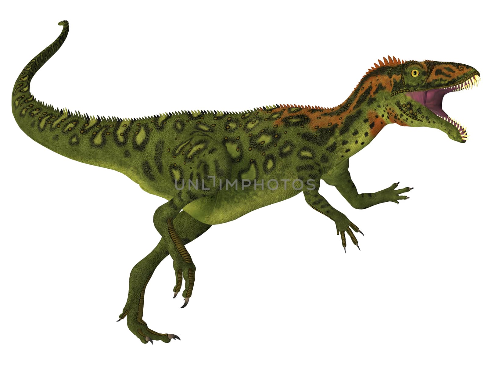 Masiakasaurus Dinosaur Body by Catmando