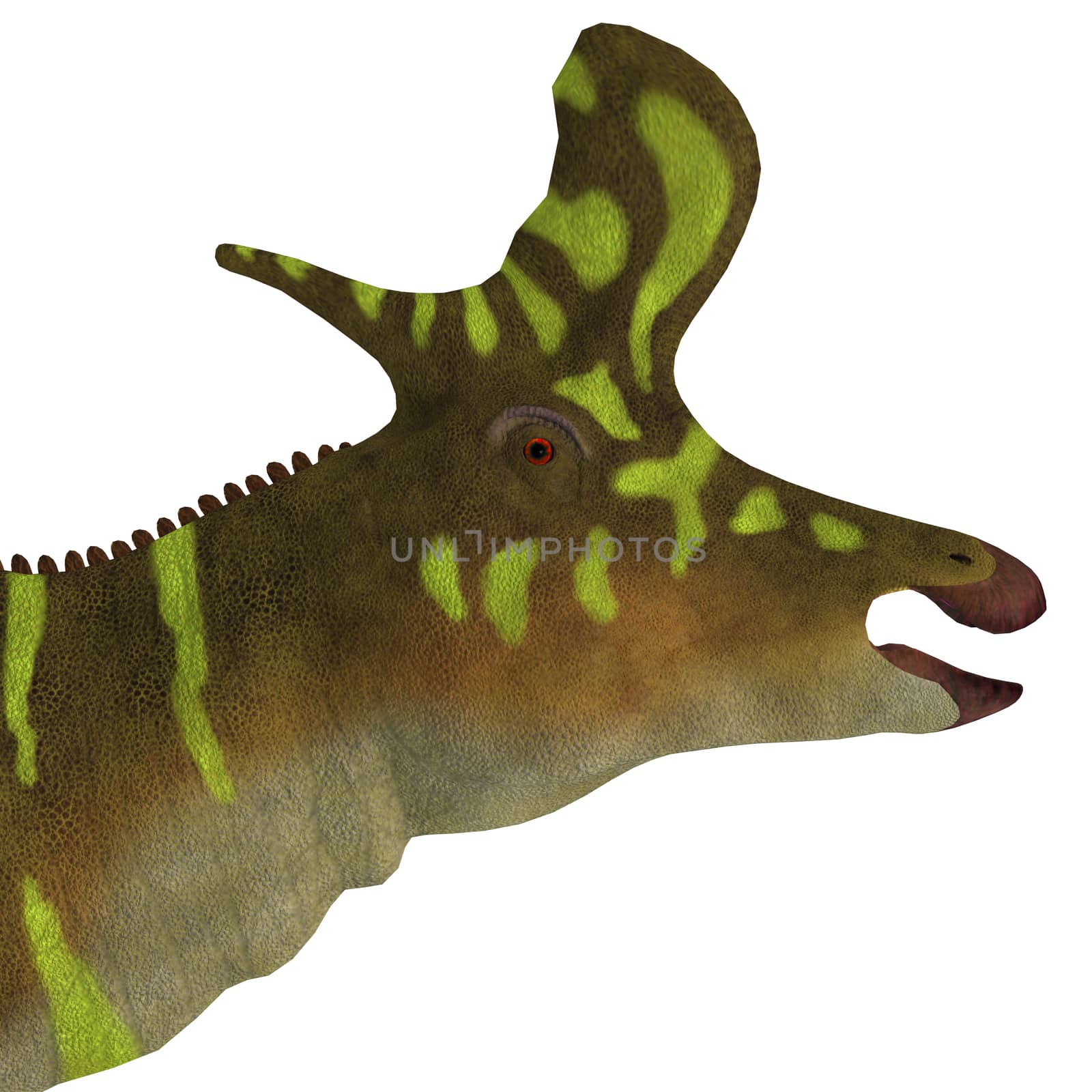 Lambeosaurus Dinosaur Head by Catmando