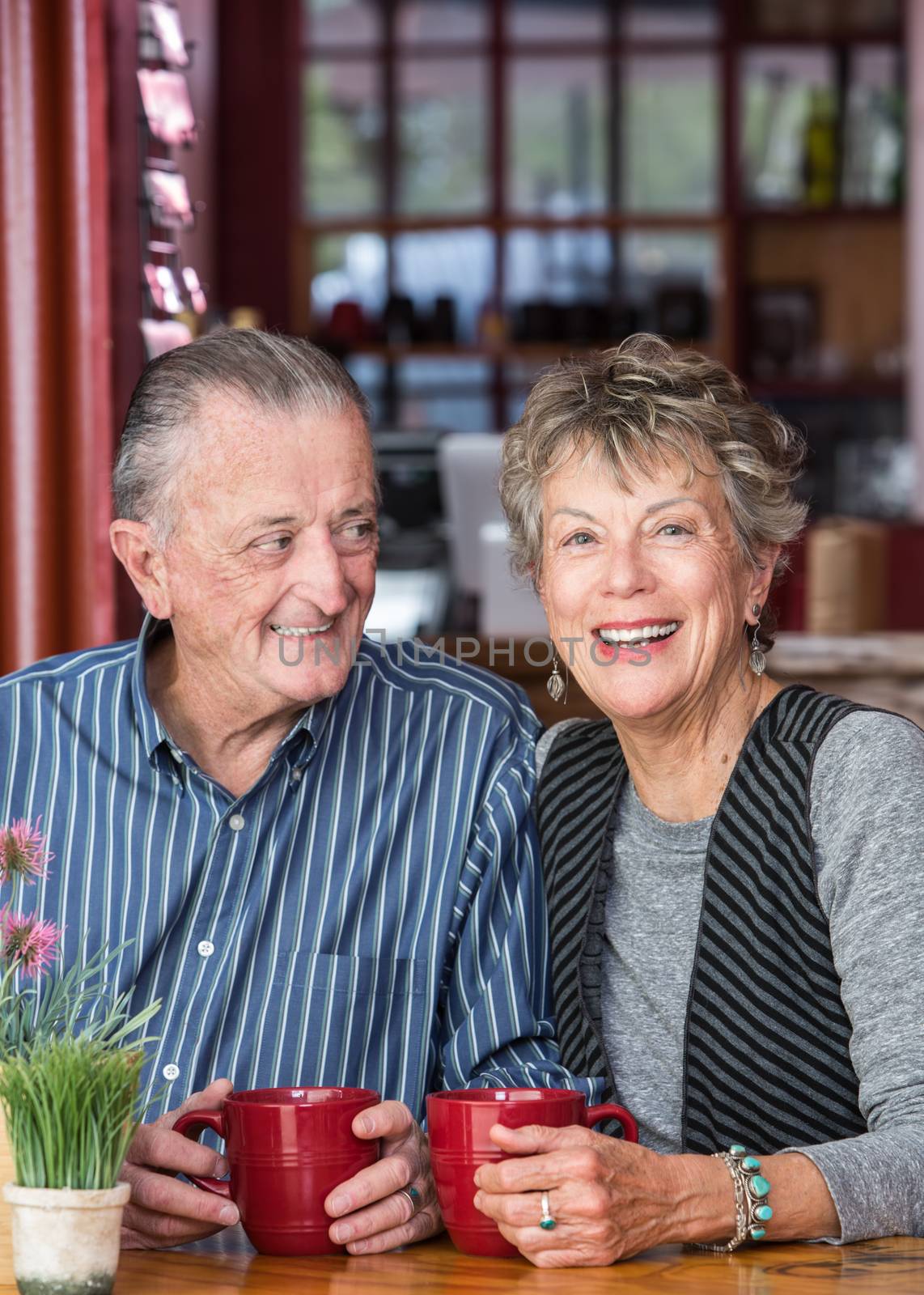 Attractive smiling mature couple sitting together in a coffee house