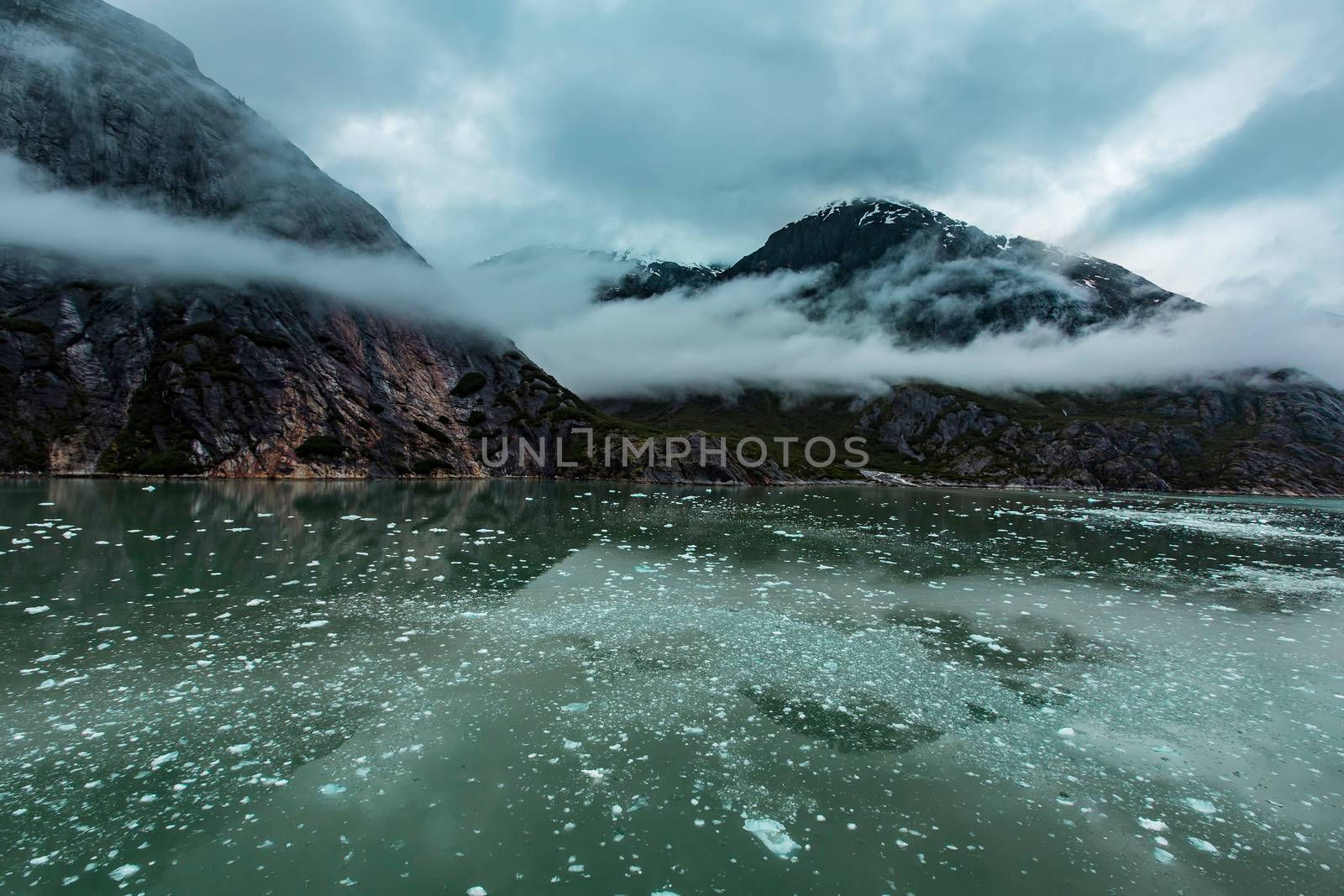 Cloudy Day in the Endicott Arm Fjord by Creatista