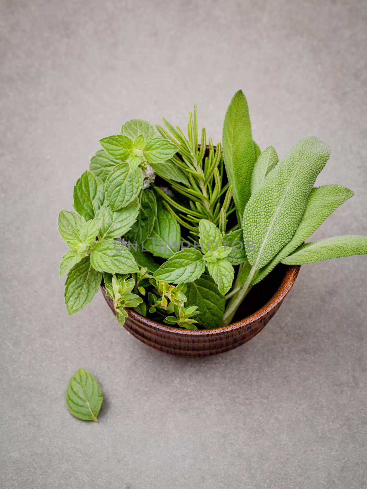 Freshness herbs still life with peppermint,rosemary, thyme, sage on dark background. Selective focus depth of field.