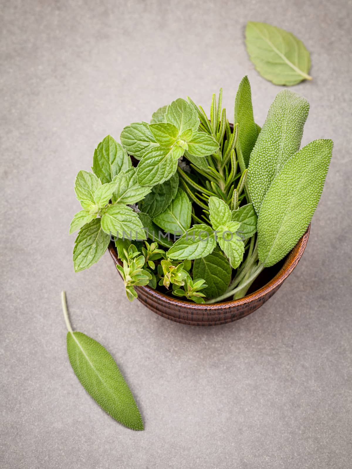 Freshness herbs still life with peppermint,rosemary, thyme, sage on dark background. Selective focus depth of field.