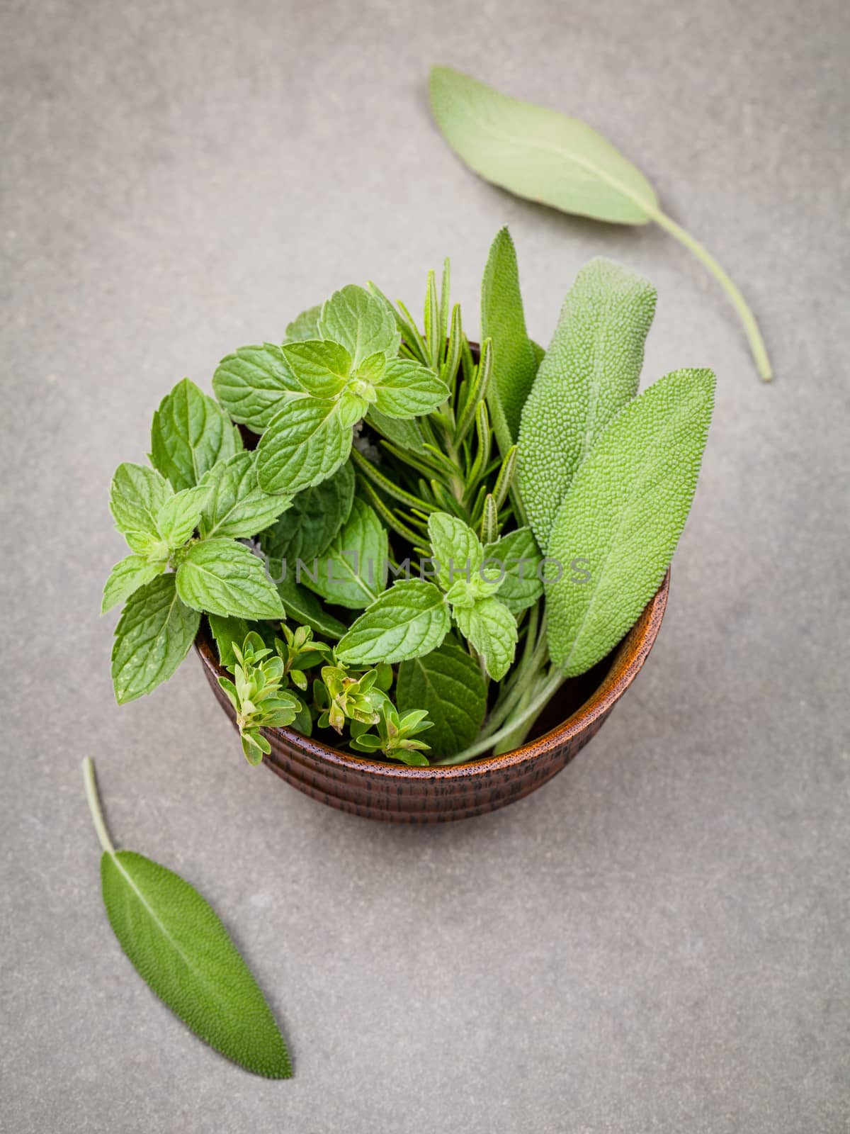 Freshness herbs still life with peppermint,rosemary, thyme, sage on dark background. Selective focus depth of field.