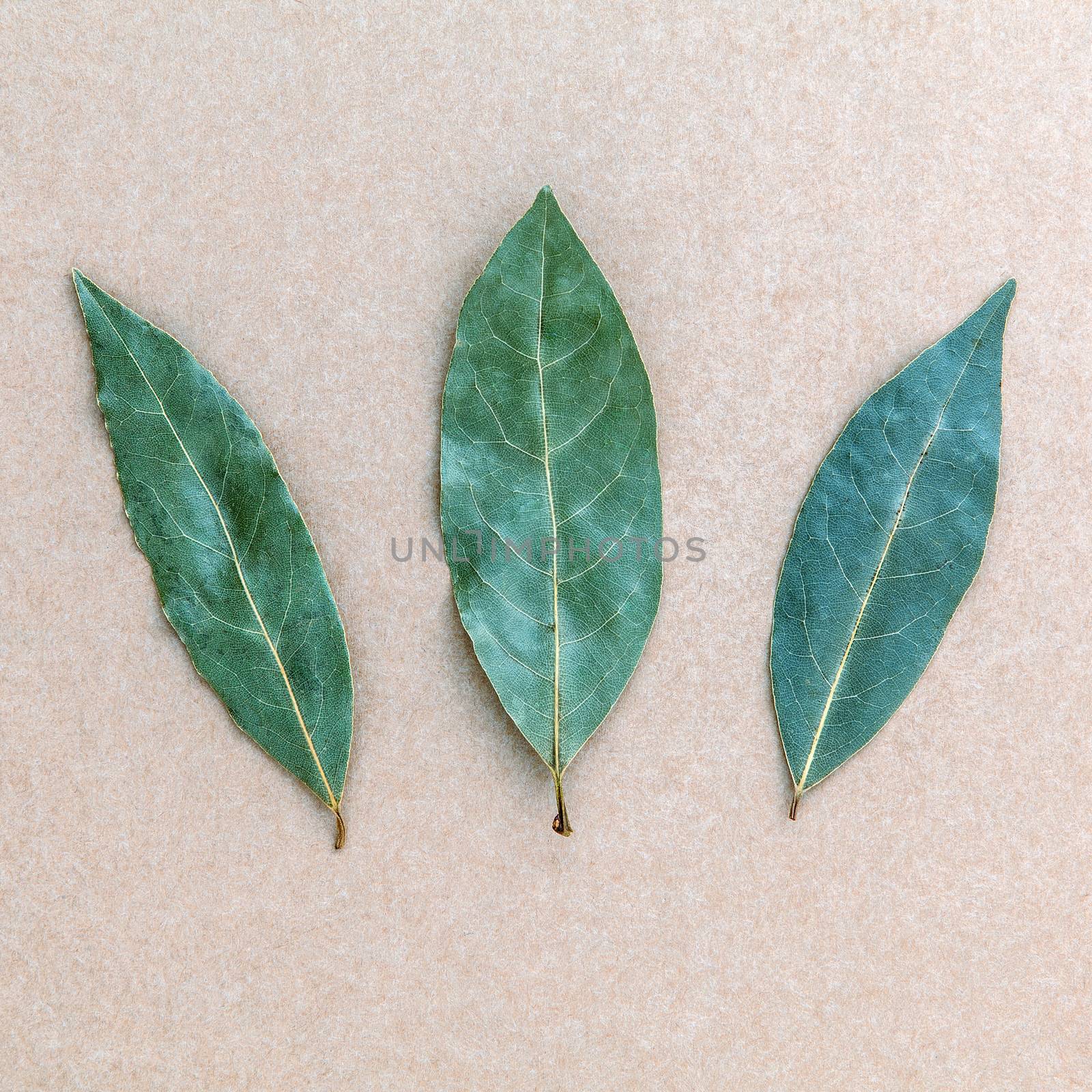 Dried bay leaf on the brown background, 3 Bay leaves background. by kerdkanno