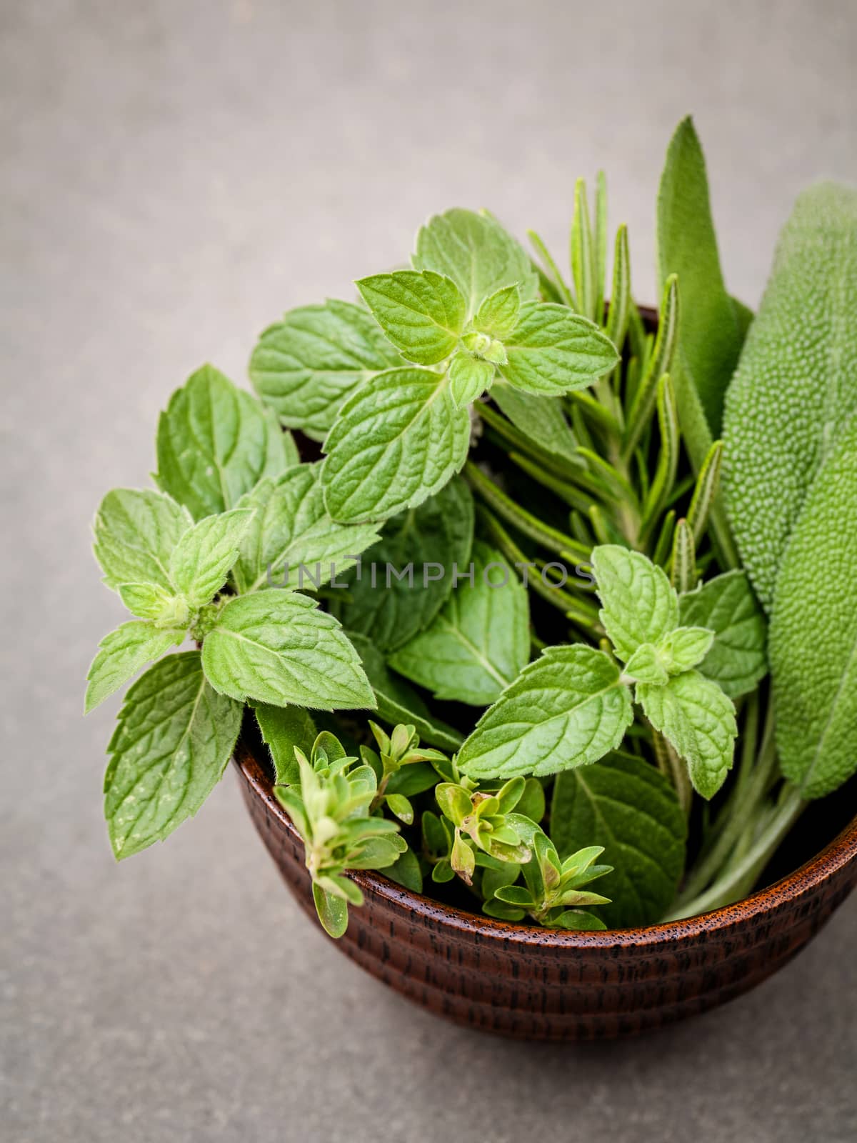 Freshness herbs still life with peppermint,rosemary, thyme, sage on dark background. Selective focus depth of field.