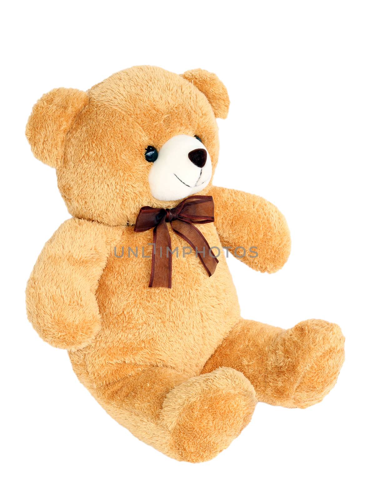 Image of toy teddy bear on white background