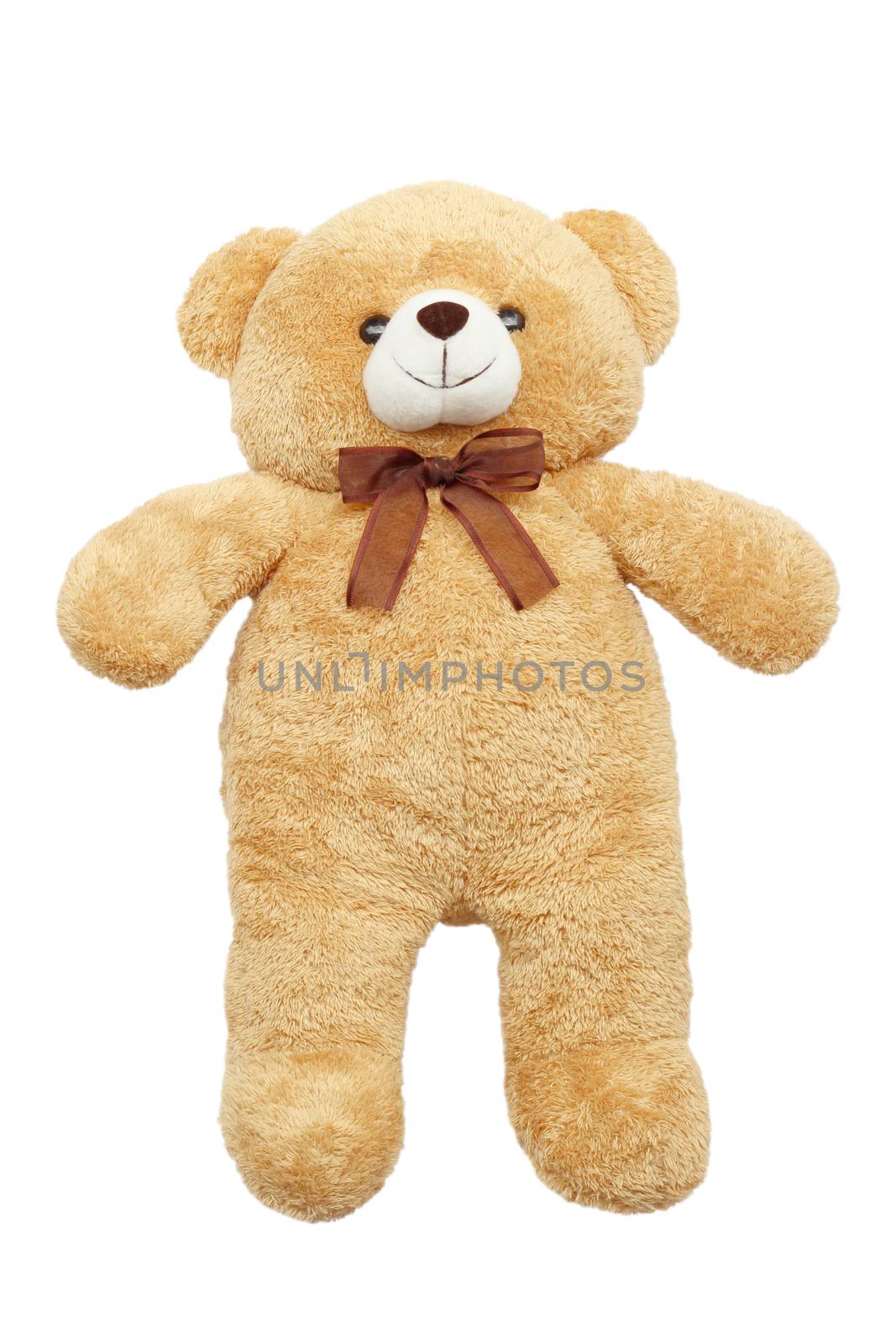 Image of toy teddy bear on white background by yod67