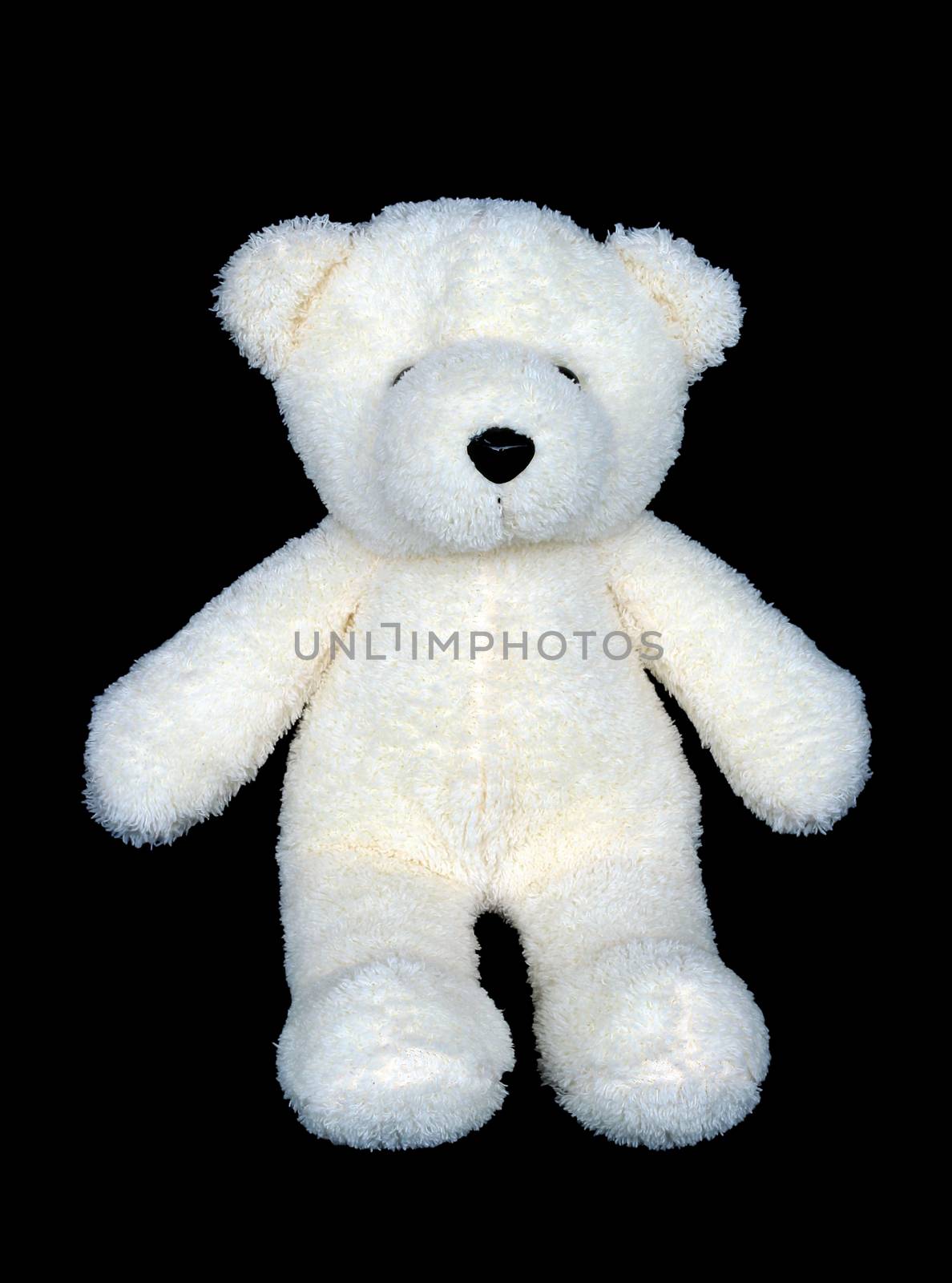 Image of toy teddy bear on black background