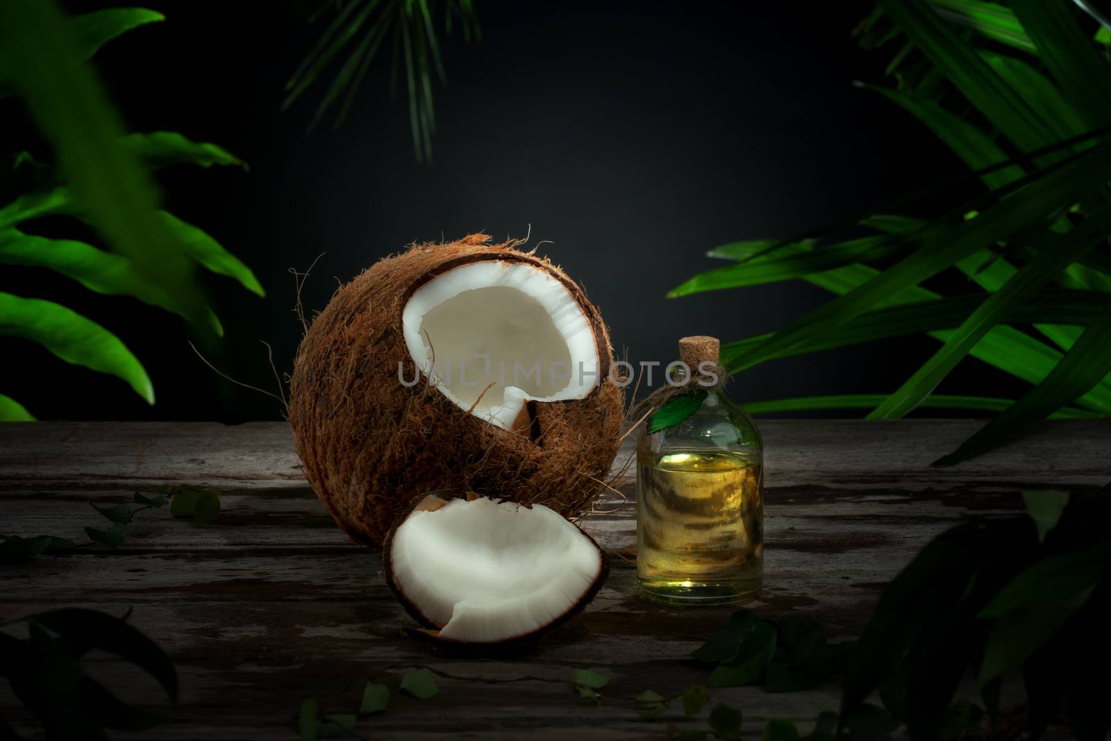 Close up view of nice fresh coconut and oil on green leaf background
