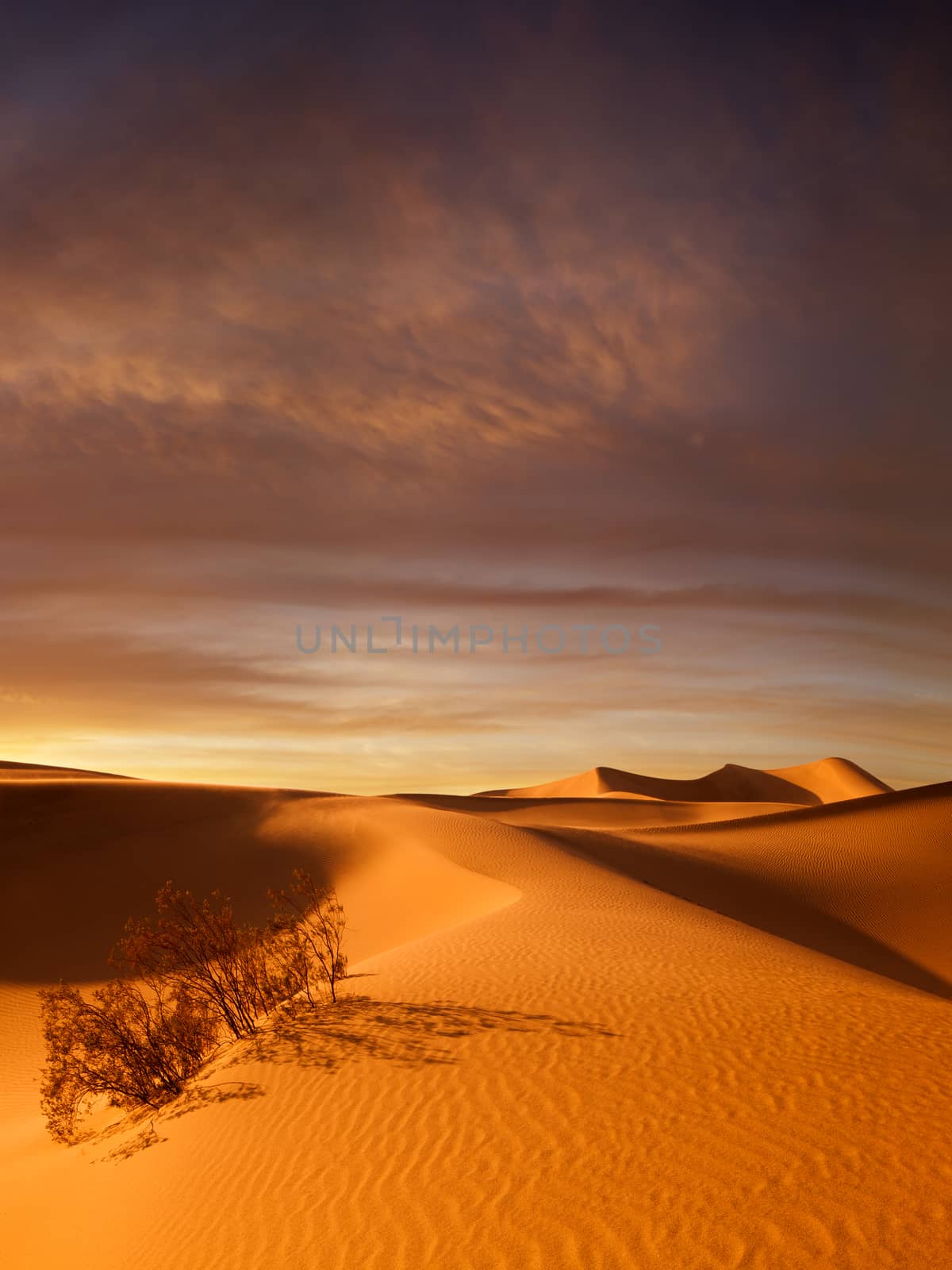 view of nice sands dunes at Sands Dunes National Park during sunset