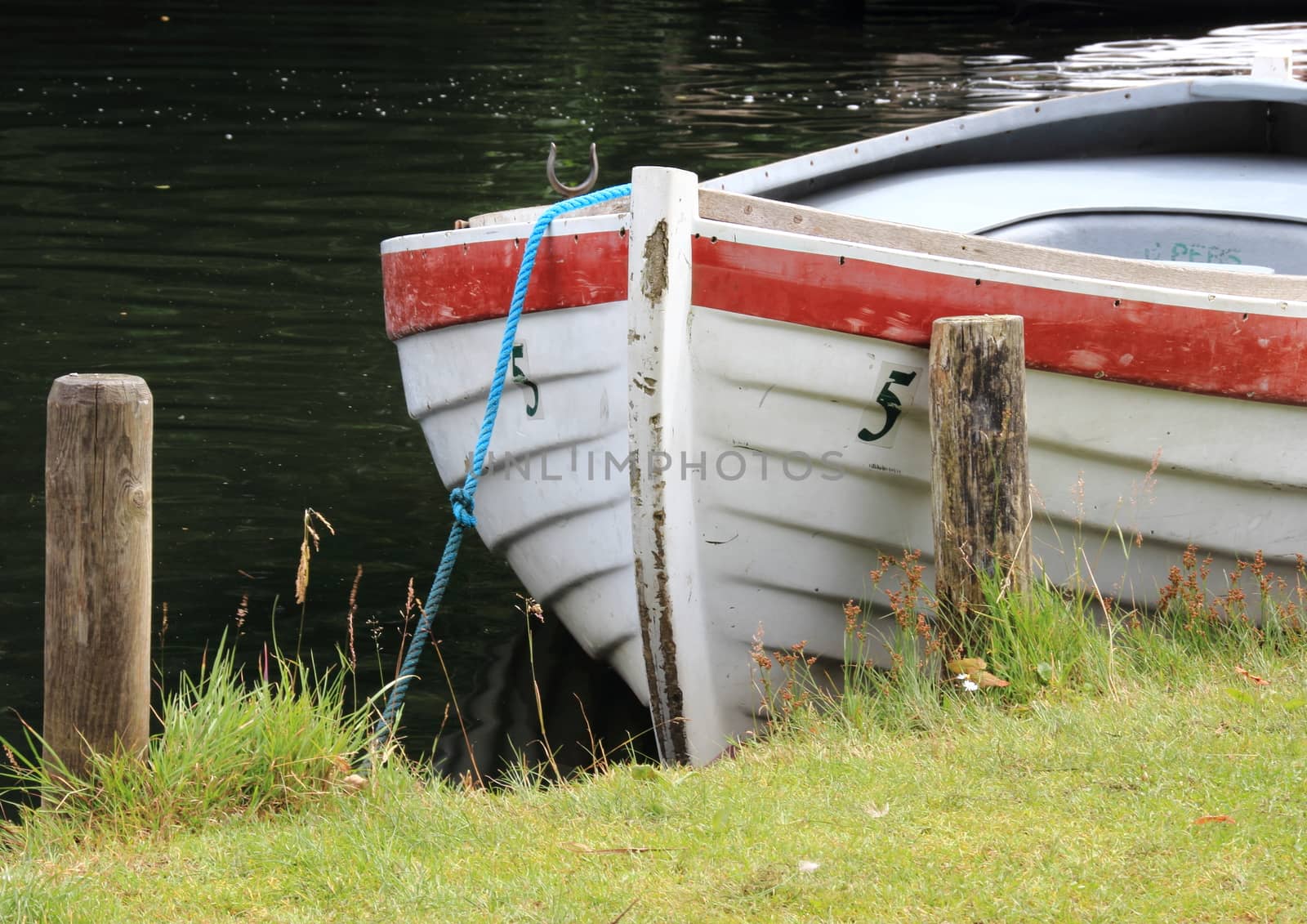 Rowing boat in water at grass field
