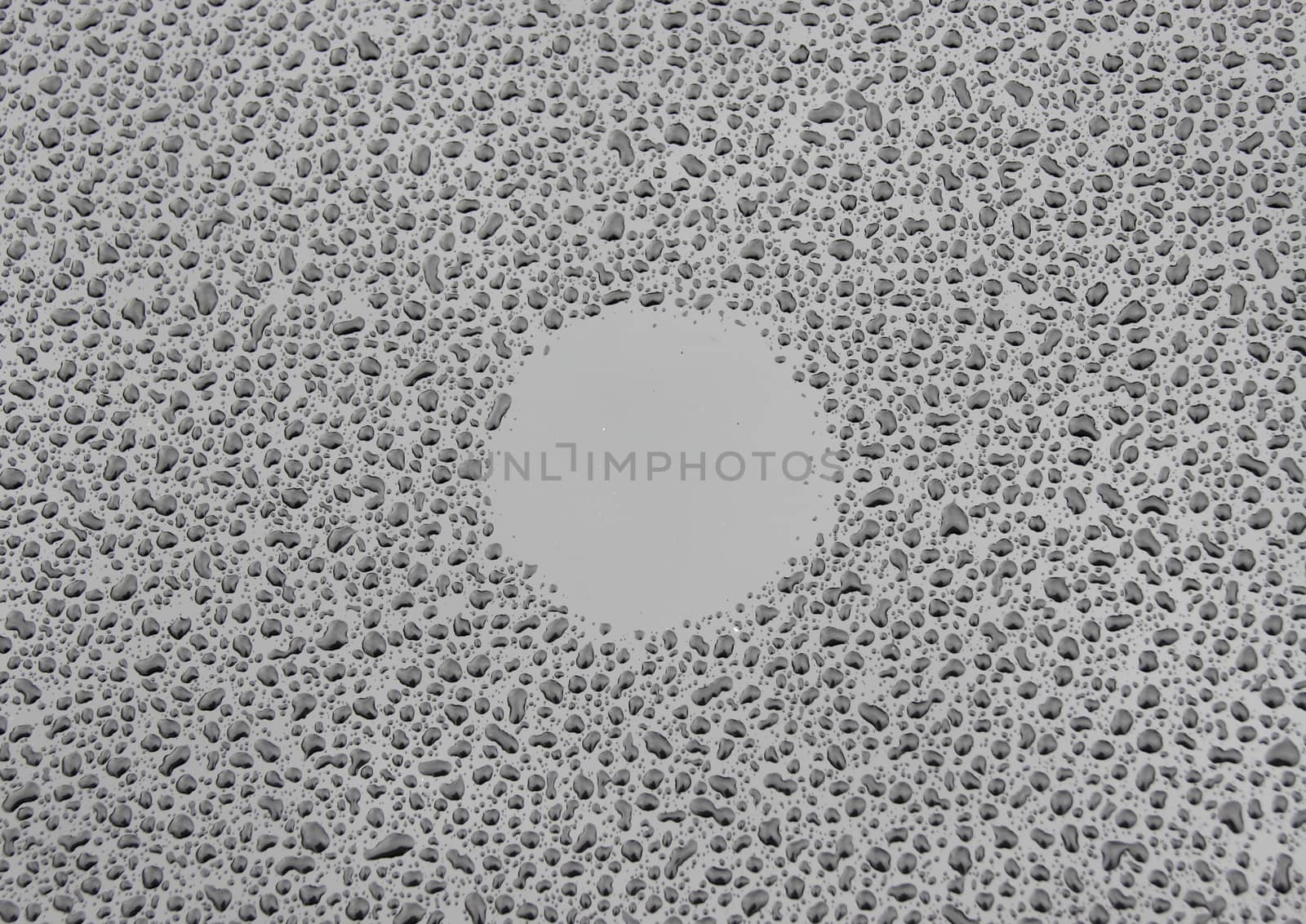 Dry circle in raindrops on black  background