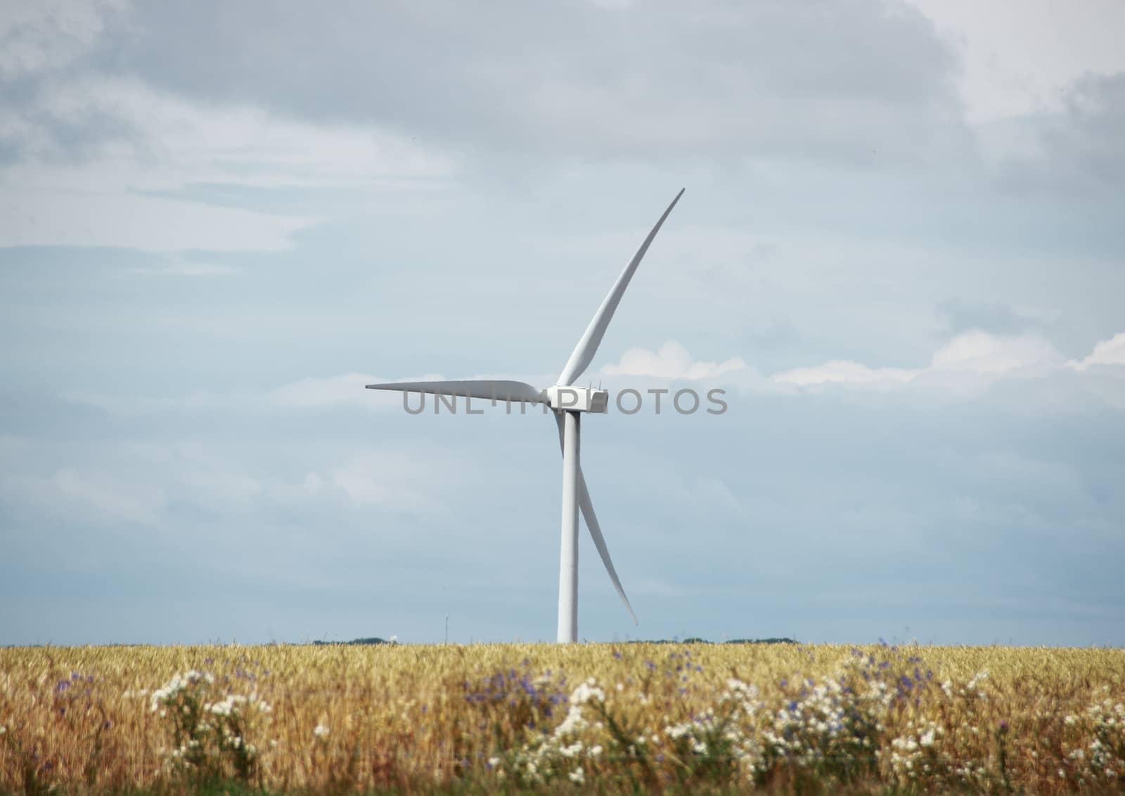 Single windmill in grass field with clouds