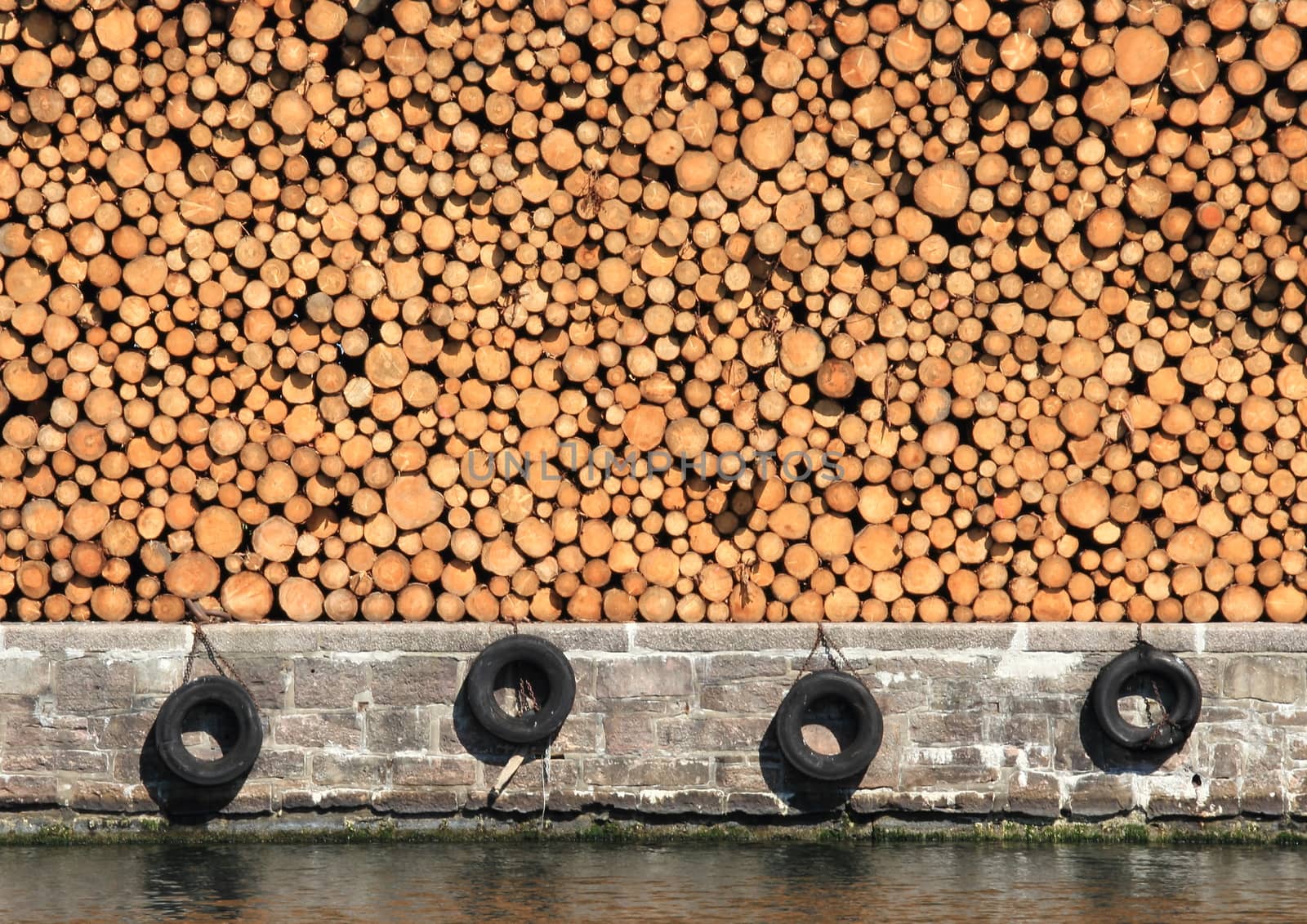 Stack of pinewood timber at pier with tires