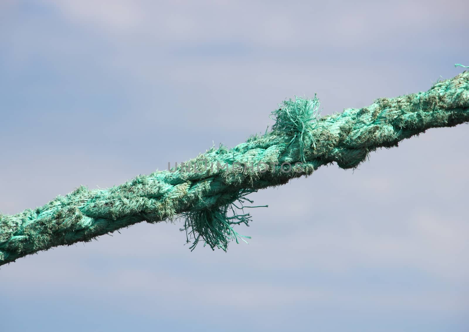 Green torn anchor rope with sky background