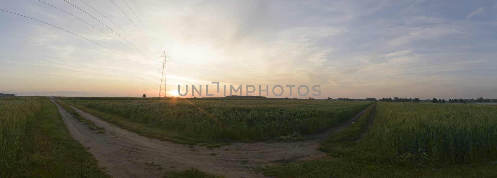 natural green colorful rural meadow, nature series
