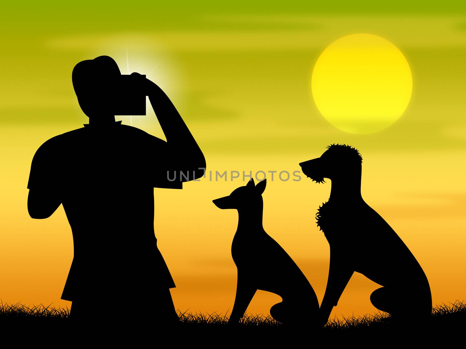 Dogs Photo Representing Camera Photography And Snapshots