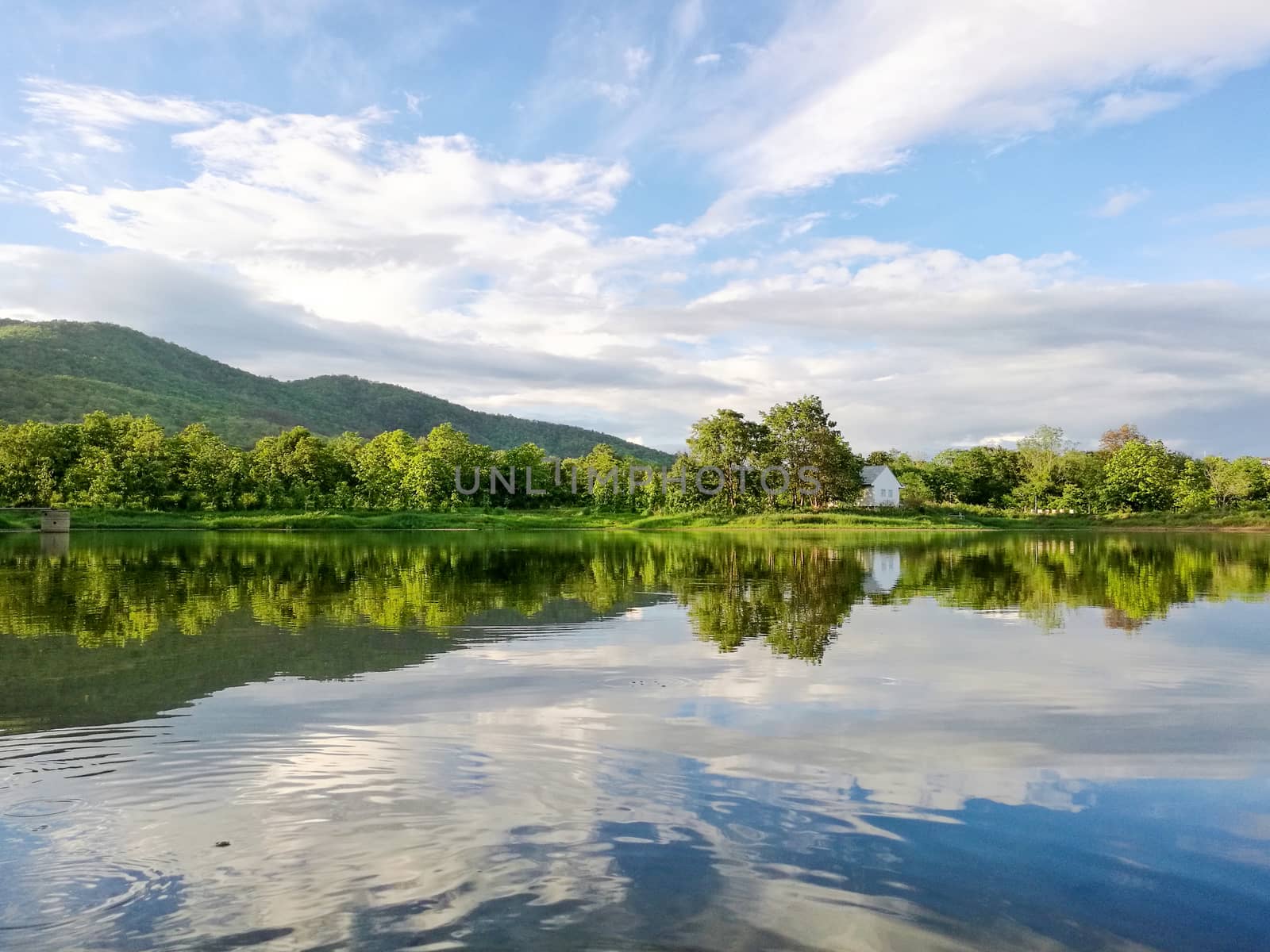 Reflection of natural tree and sky in a lake by nopparats