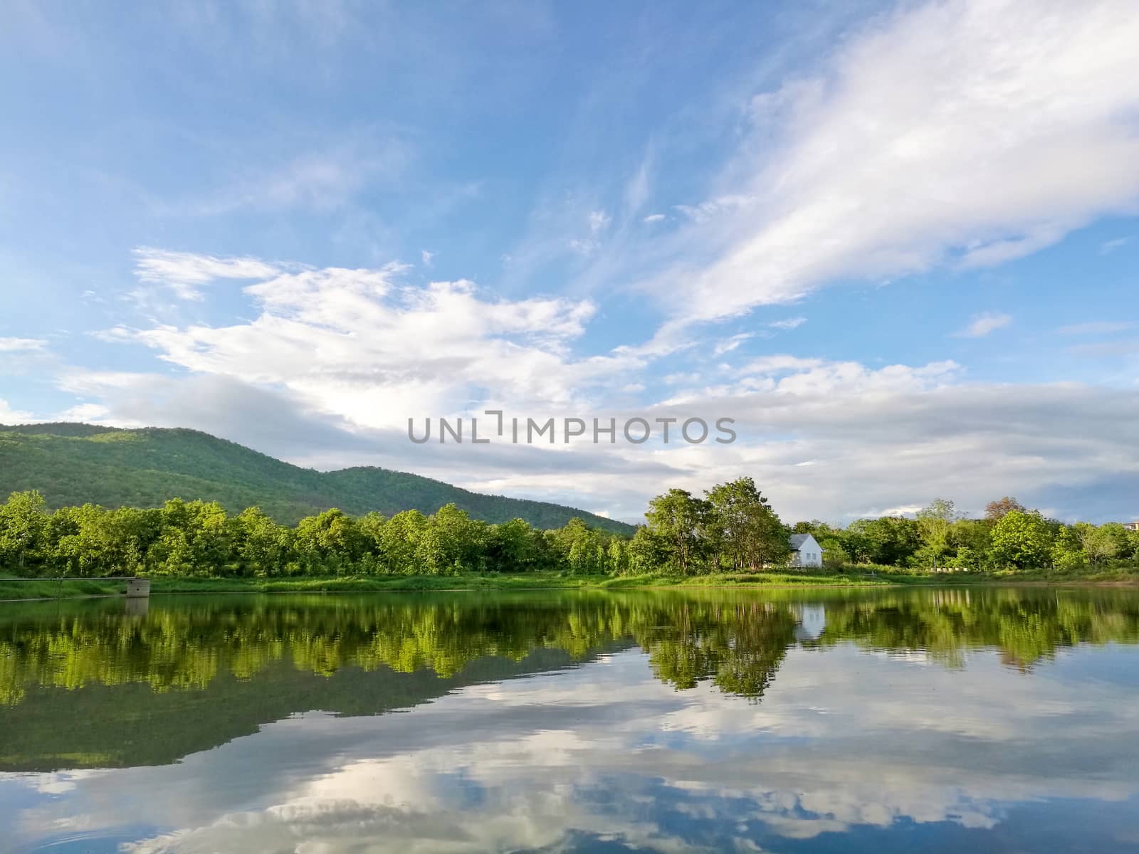Reflection of natural tree and sky in a lake by nopparats
