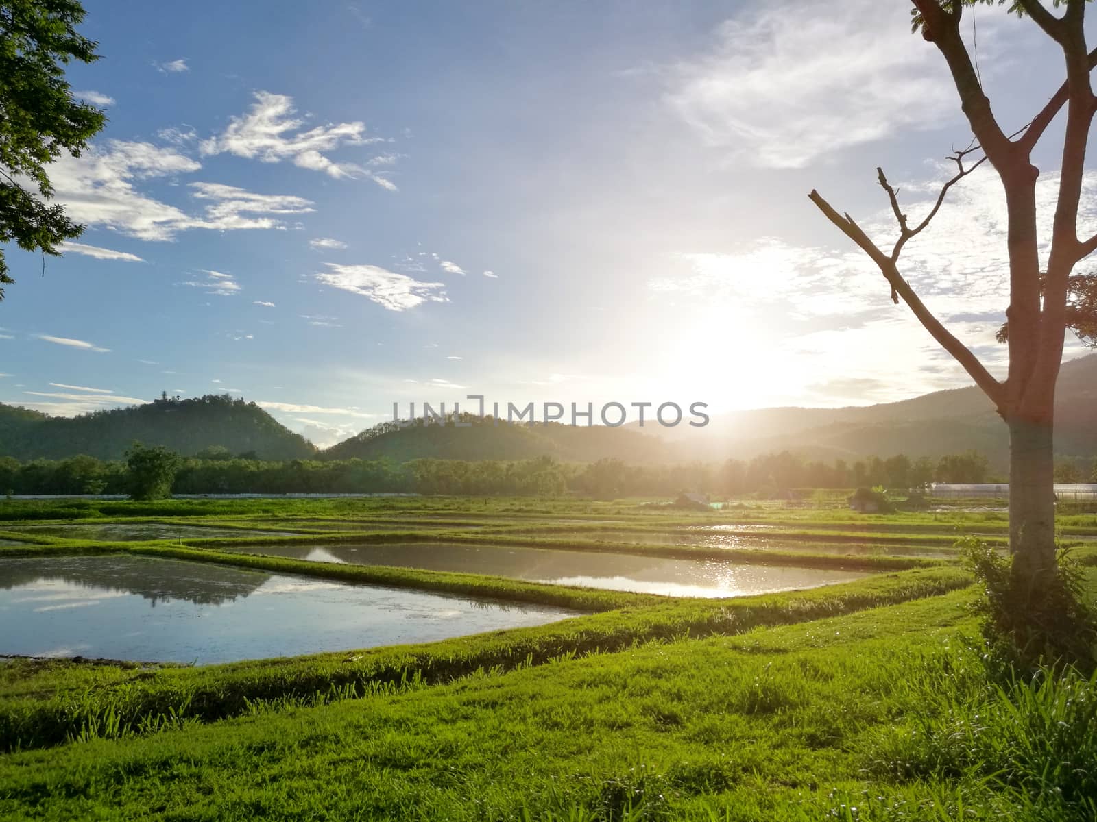 Sunset on spring field natural beauty with Mountain and Sky.