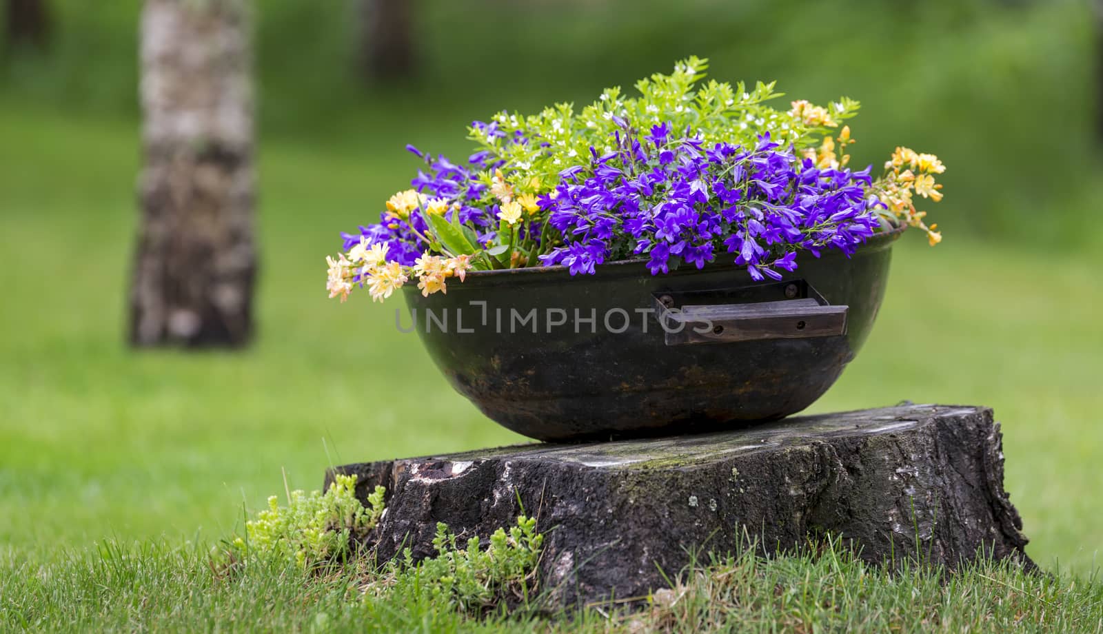 Flowers in Pot on Stump with a tree in the background and green grass.