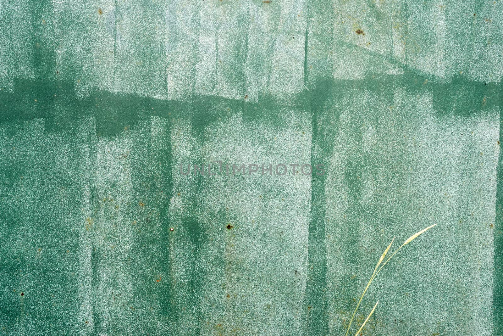 Green grungy old wall texture