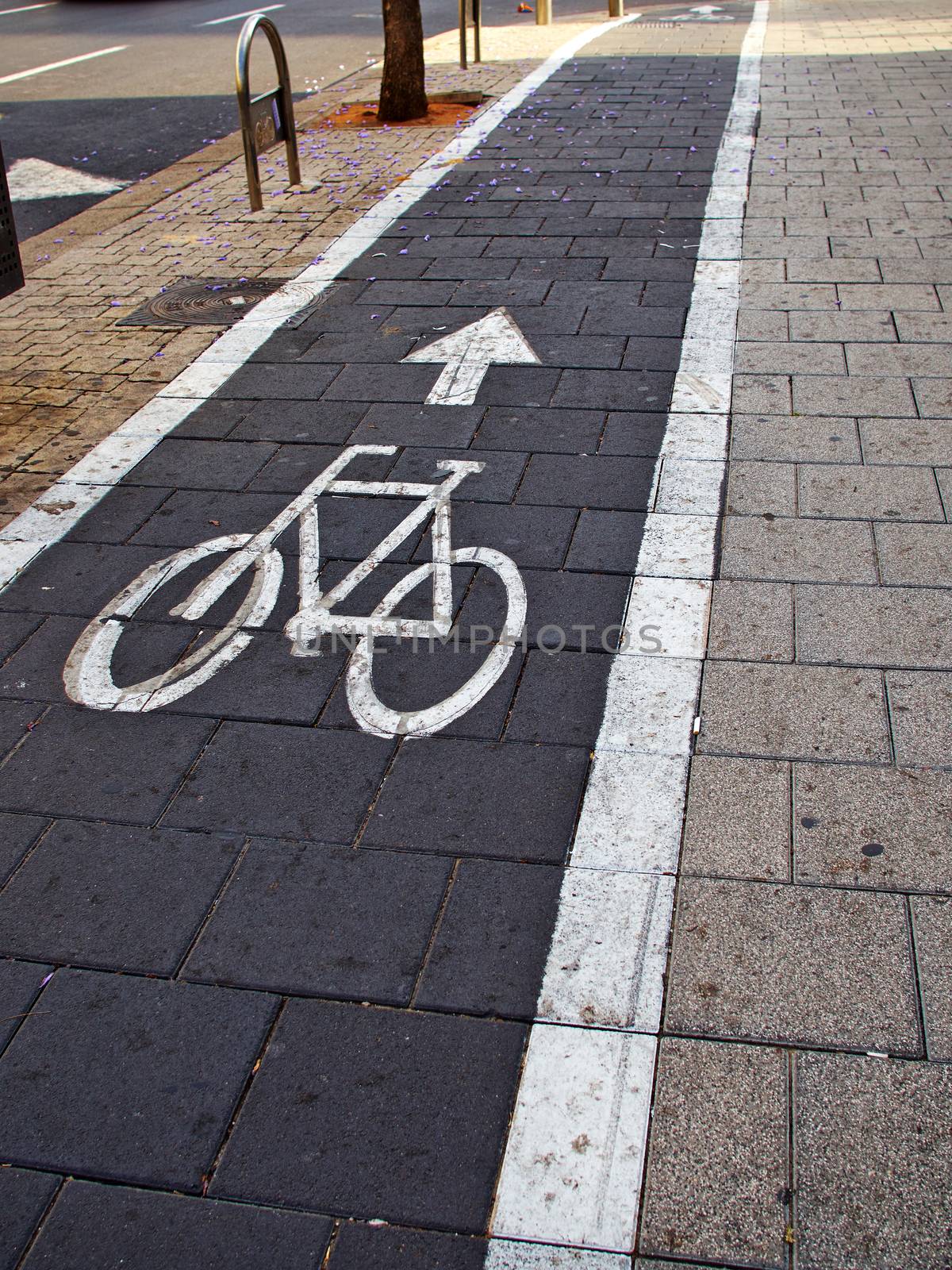 City bicycle bikes lane great urban transportation solution 