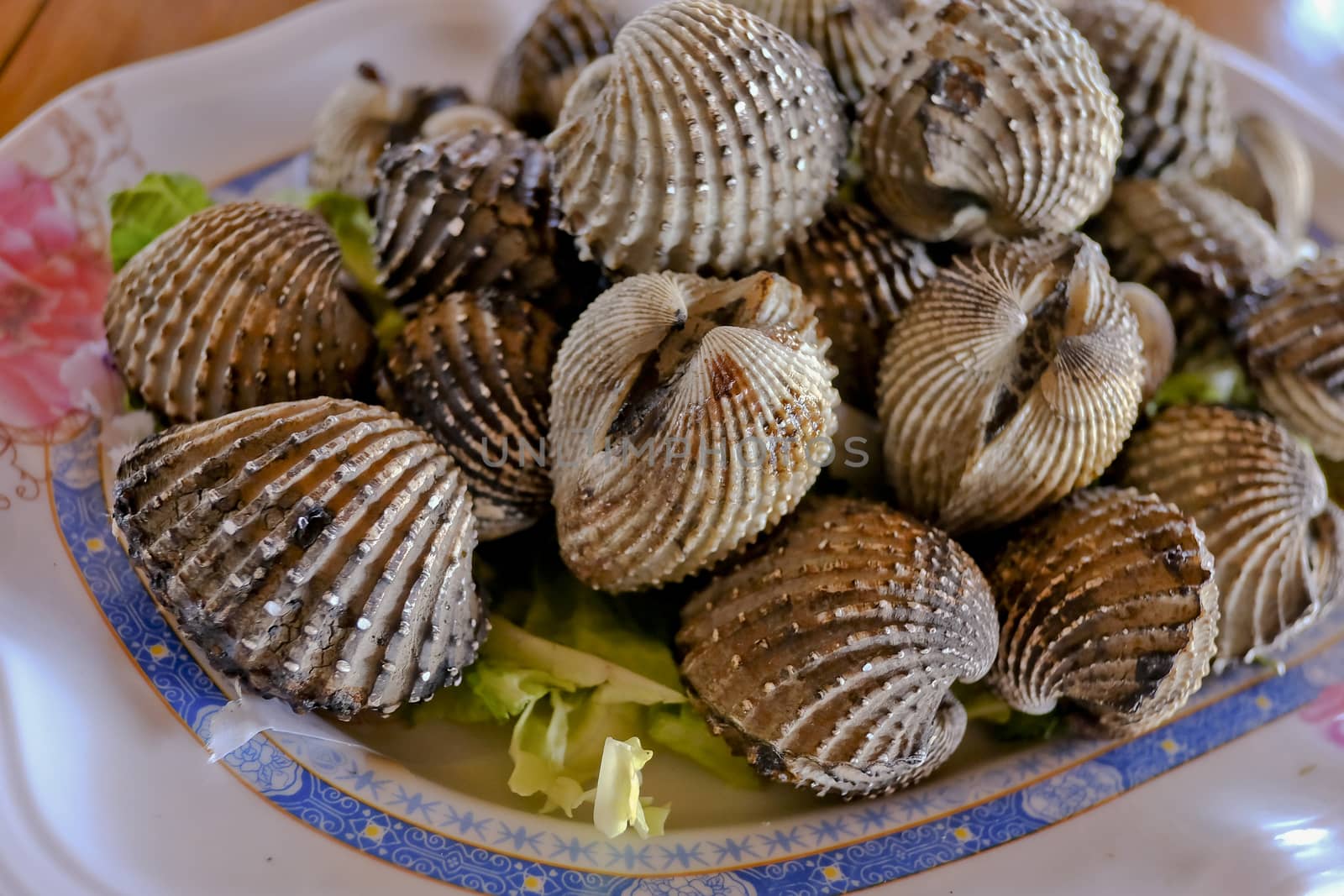 Cockle grill on white plate. by art9858