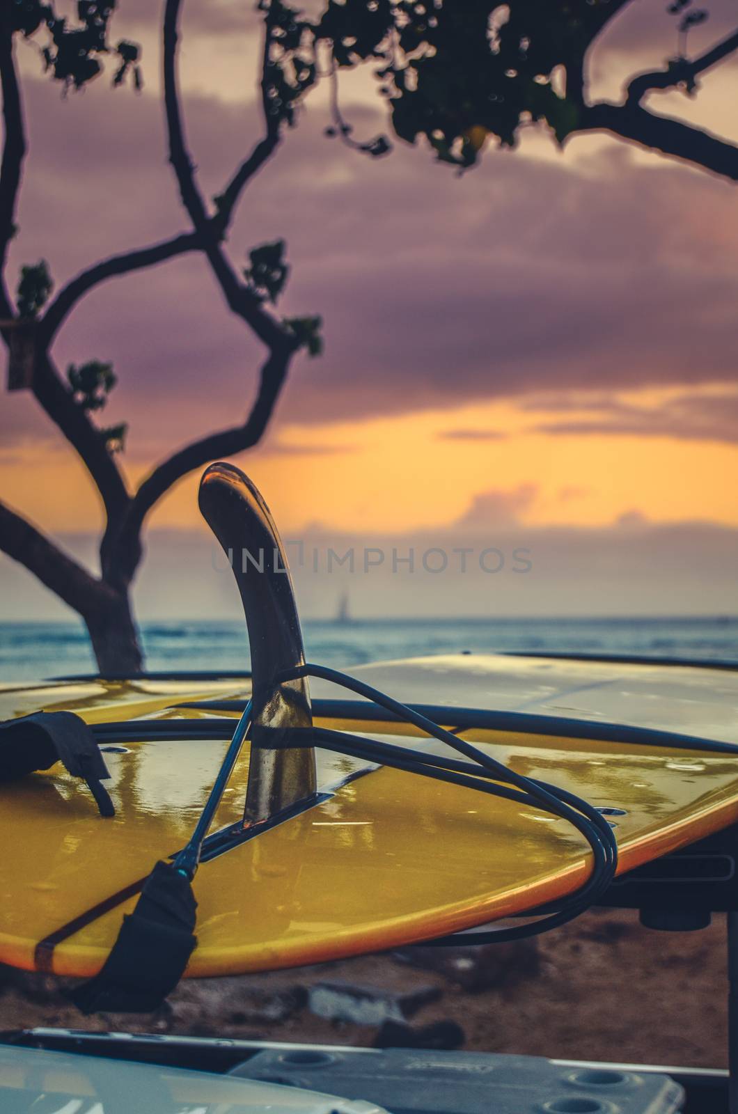 Detail Of A Surfboard On The Back Of A Truck By The bEach At Sunset In Hawaii