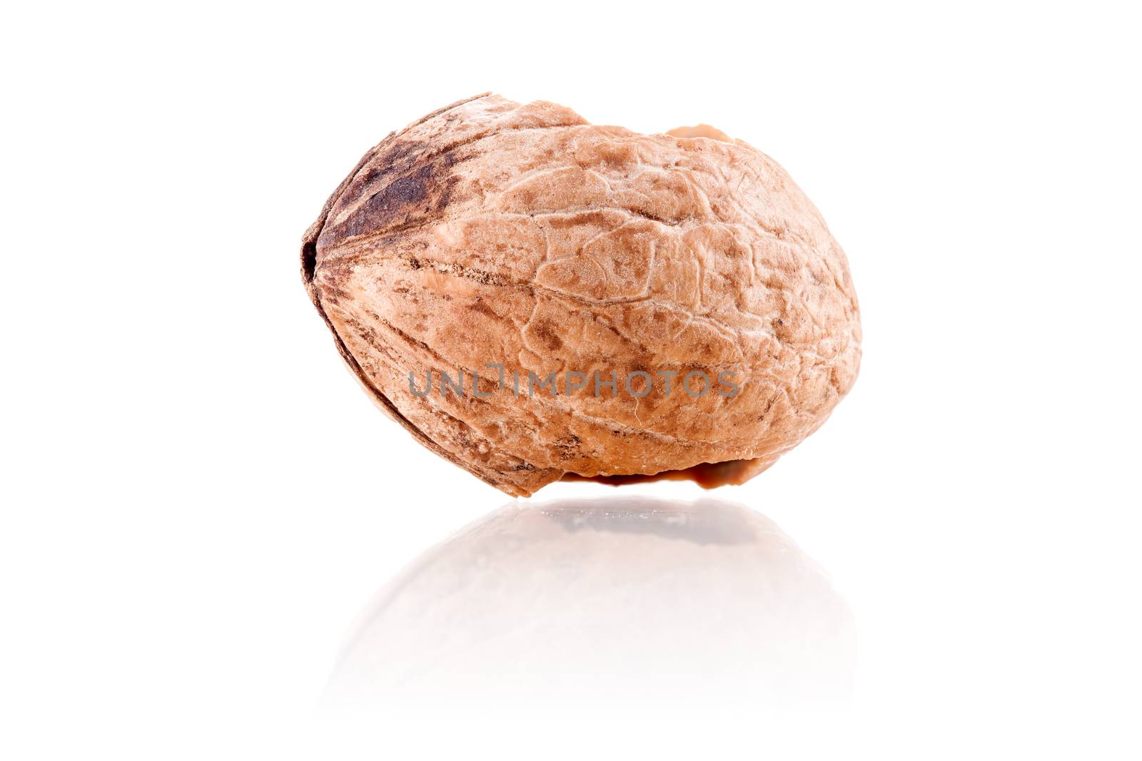 walnuts shell with holes by kokimk