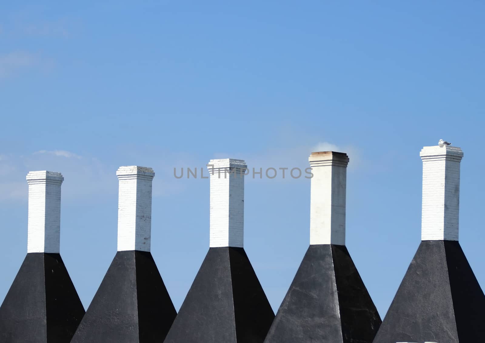 Five chimneys on a smokehouse with blue sky