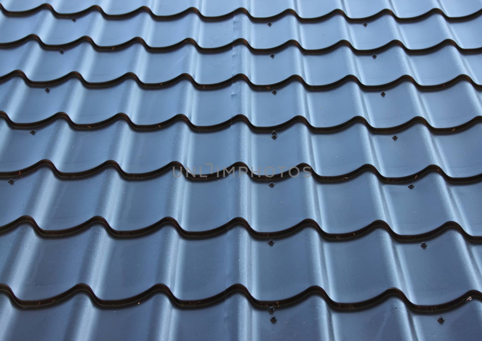 Curved black metal roof with wave design