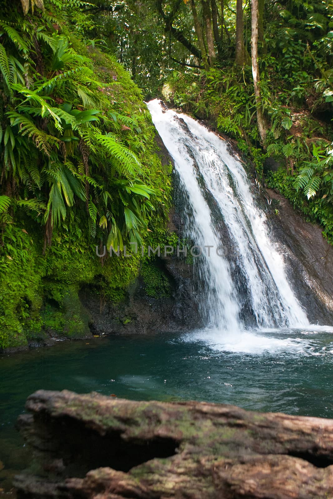 Beautiful waterfall on Guadeloupe island by CaptureLight