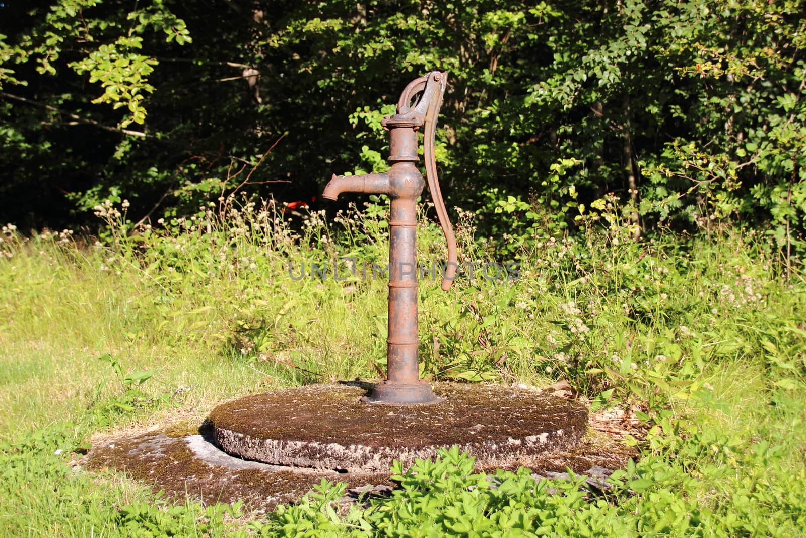 Old grunge water pump in forest garden