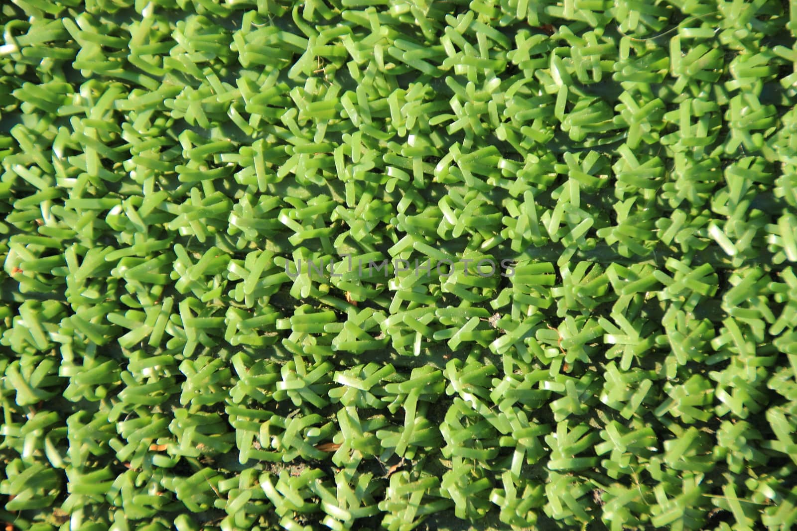 Artificial fake green plastic grass background