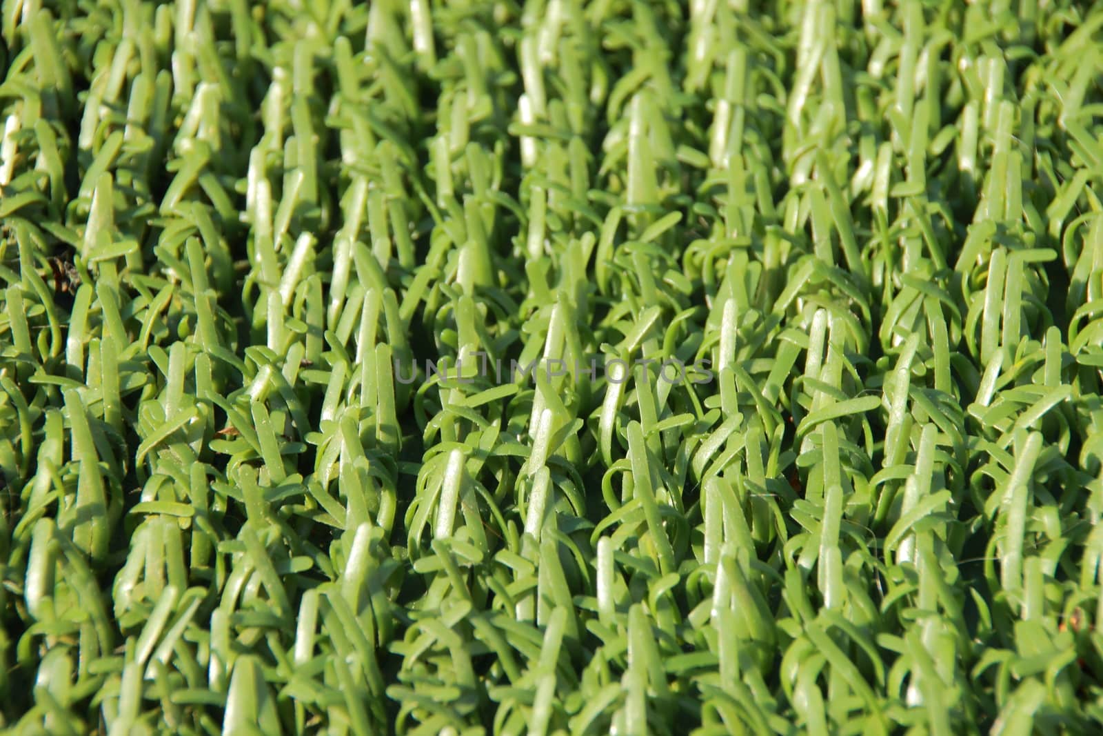Perspective of artificial fake green plastic grass background by HoleInTheBox