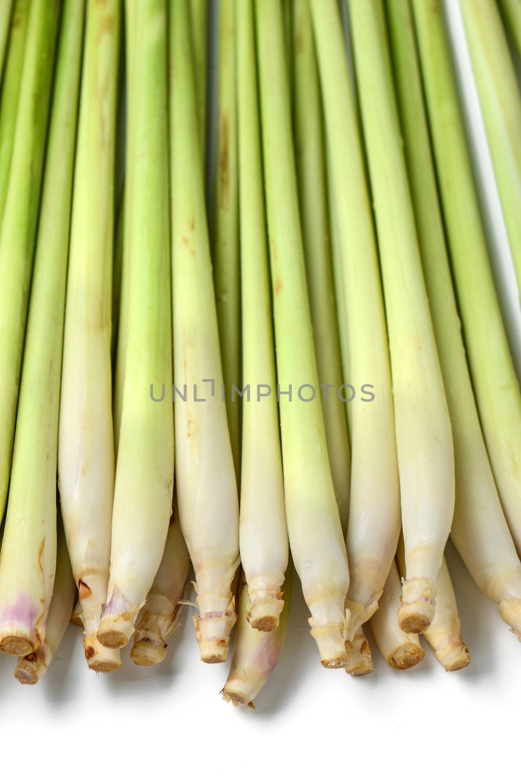 lemon grass by antpkr