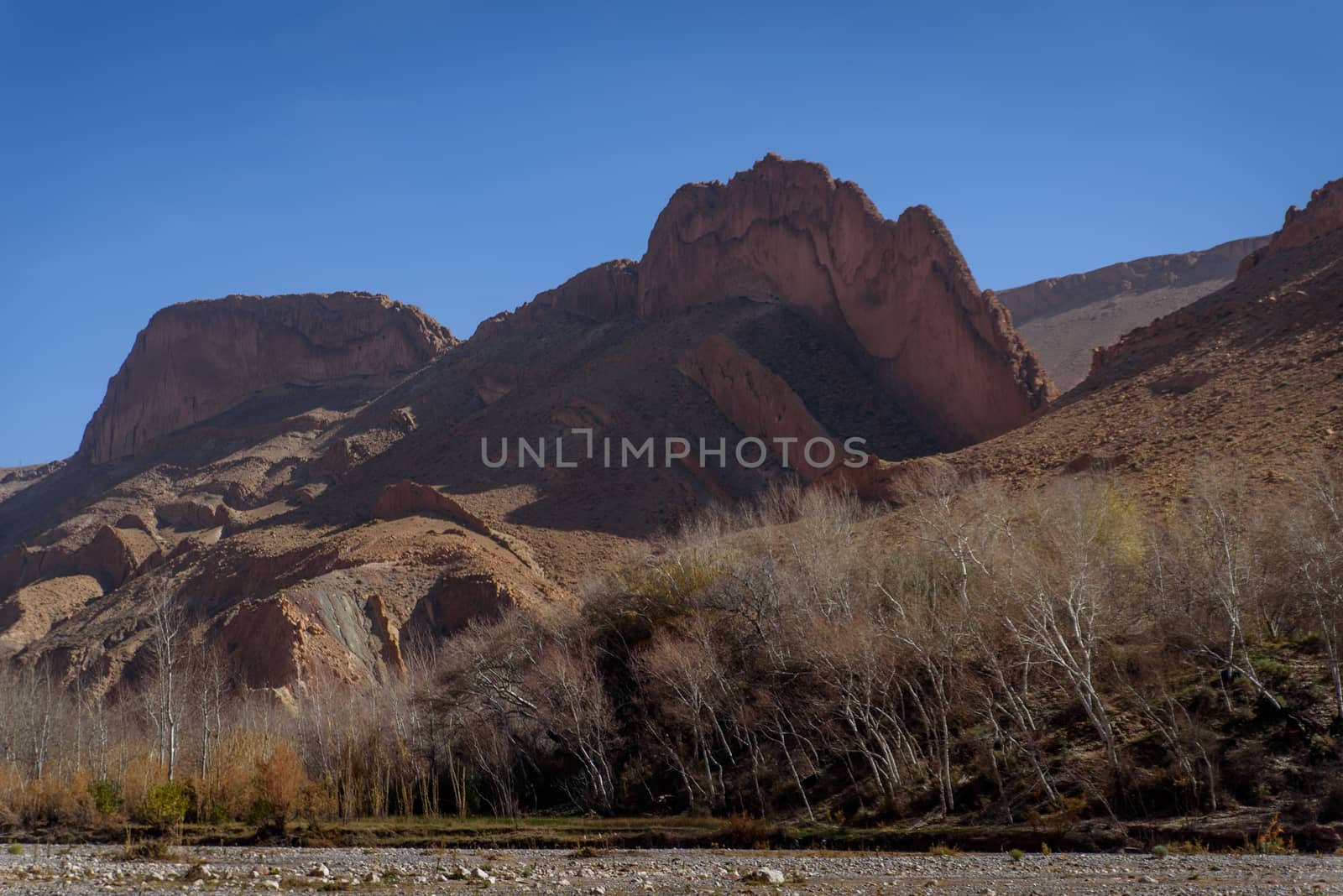 Scenic landscape in Dades Gorges, Atlas Mountains, Morocco by johnnychaos