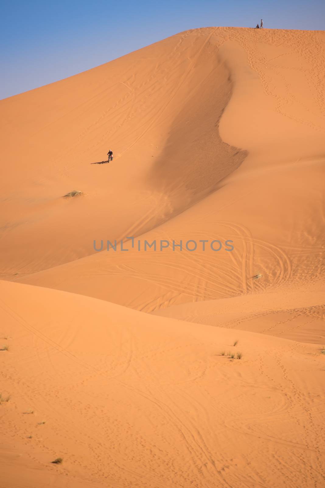 Motorbike rider on the top of the dune, Merzouga, Morocco