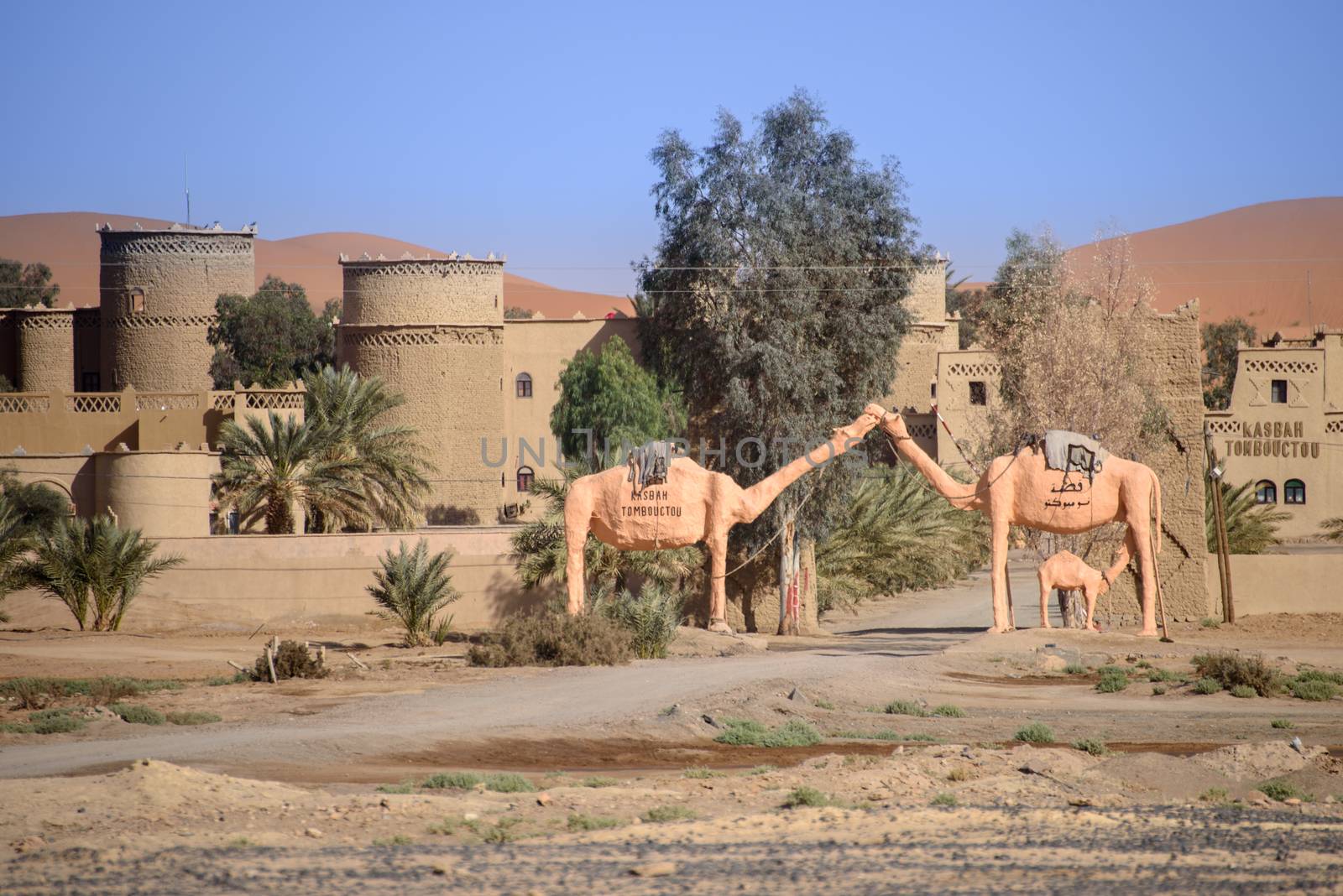 Hassilabied, Morocco - January 20th, 2016: Kasbah Tombouctou with famous camels statue. Kasbah is a luxury hotel in Hassilabied