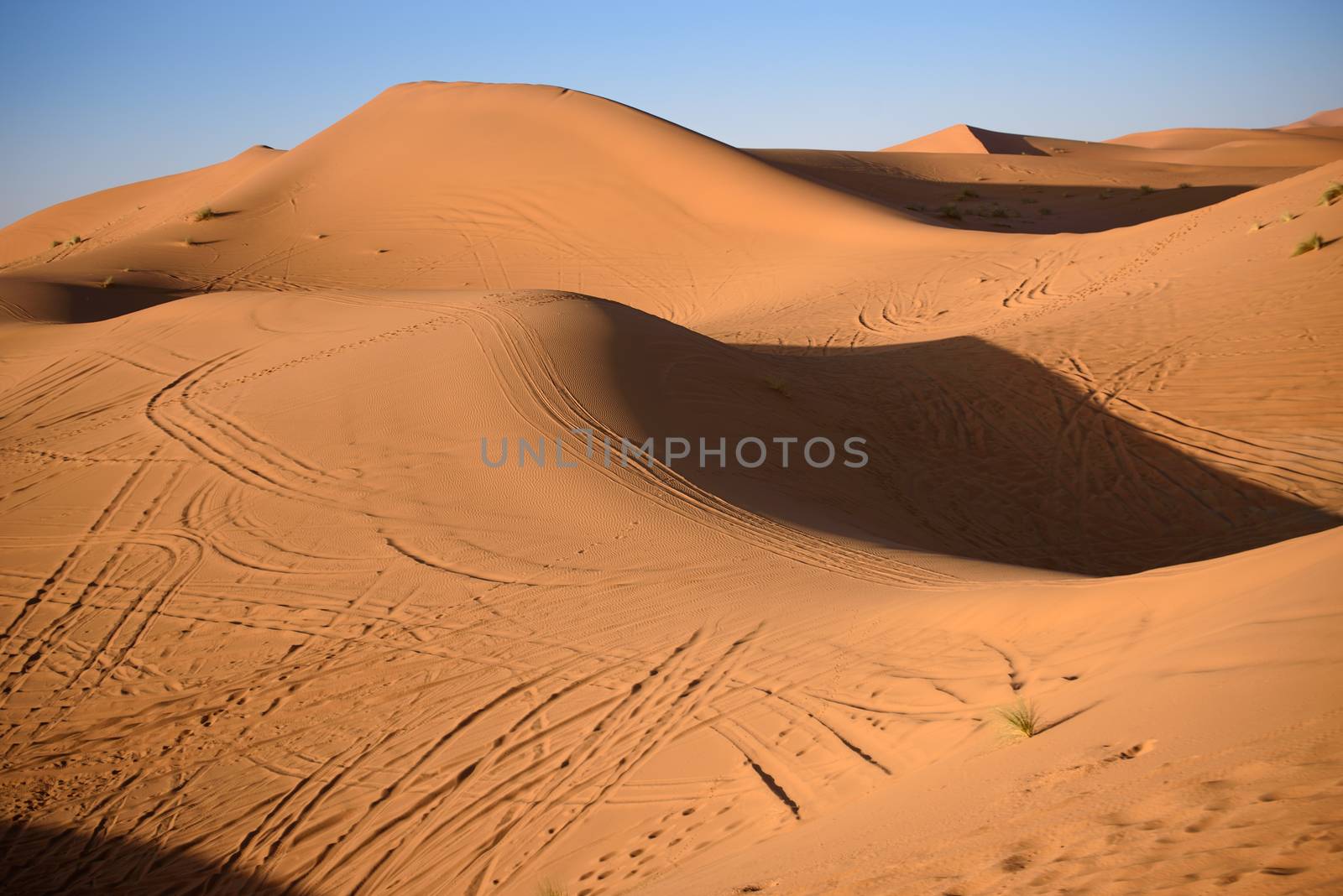 Dunes, Morocco, Sahara Desert by johnnychaos