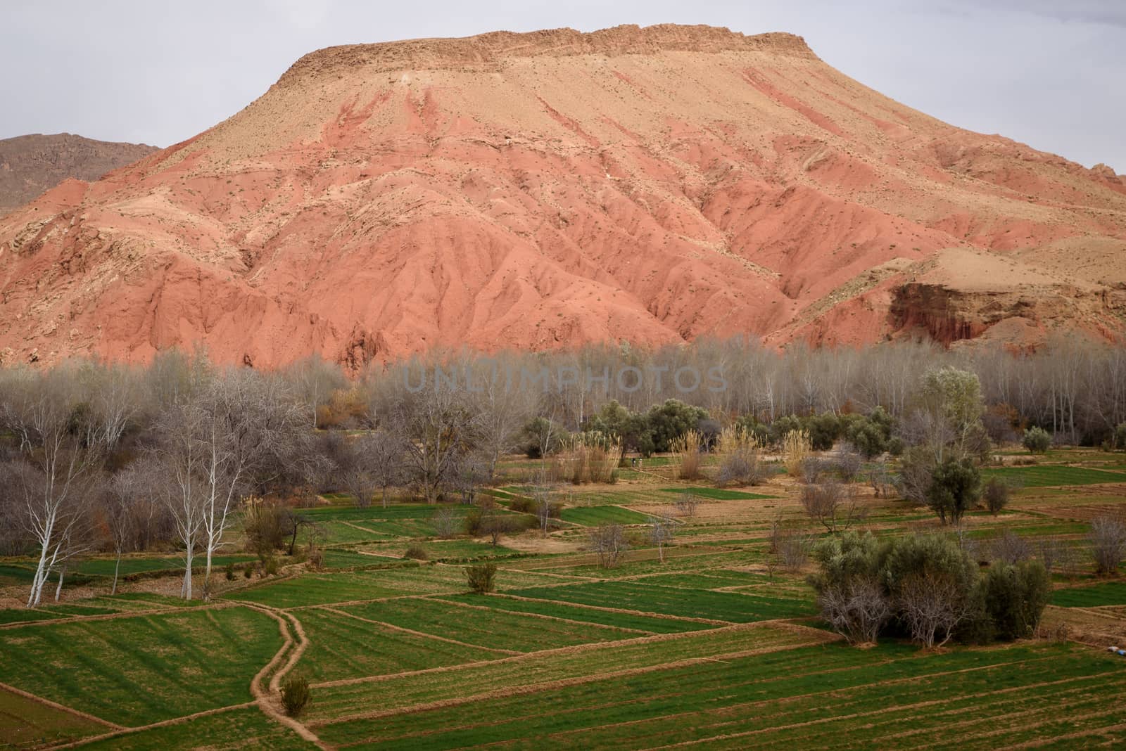 Travel destination and moroccan landmark - Dades Canyon, Atlas Mountains, Morocco