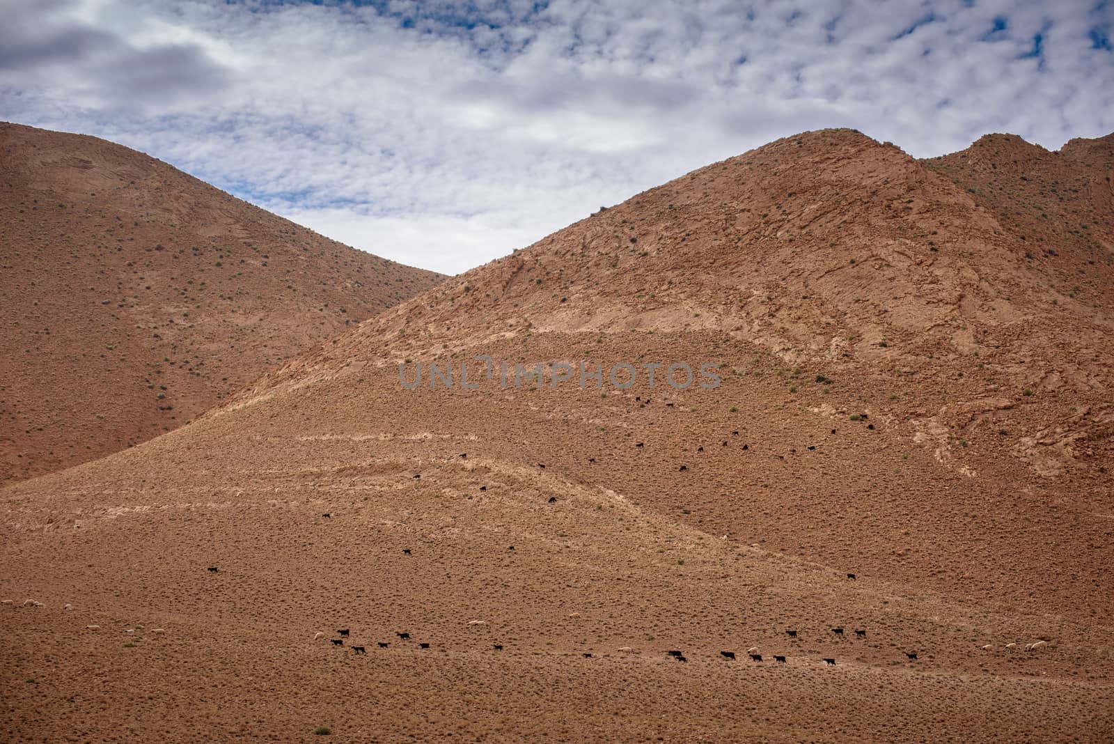 Travel destination - Nomad Valley close to Boumalne Dades, Atlas Mountains, Morocco