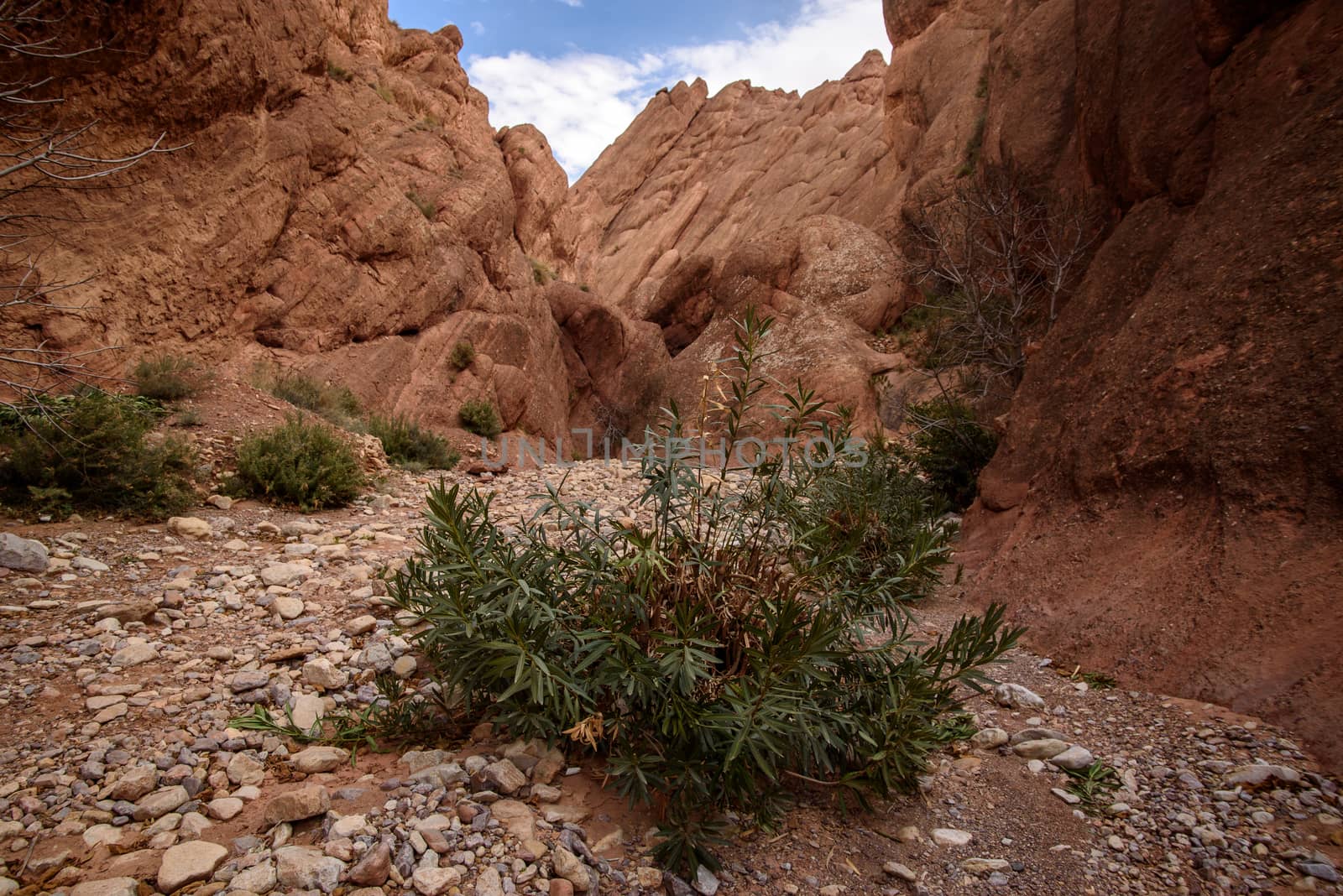 Scenic landscape in Dades Gorges, Atlas Mountains, Morocco by johnnychaos