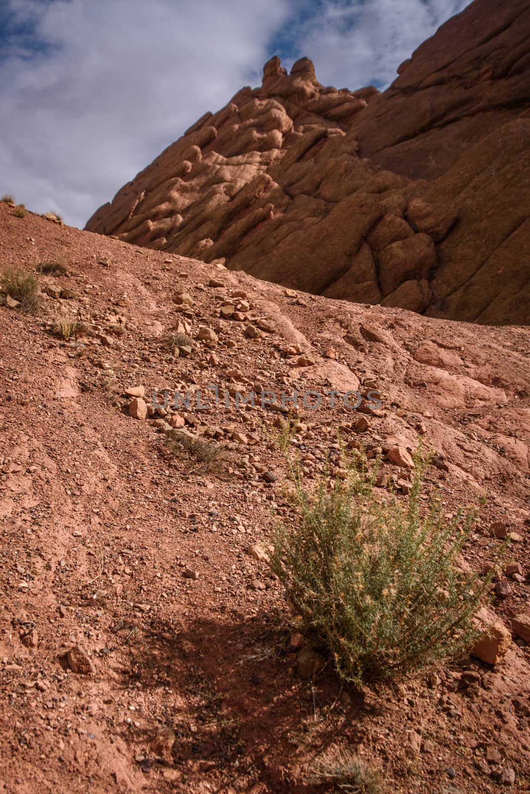 Scenic landscape in Dades Gorges, Atlas Mountains, Morocco by johnnychaos