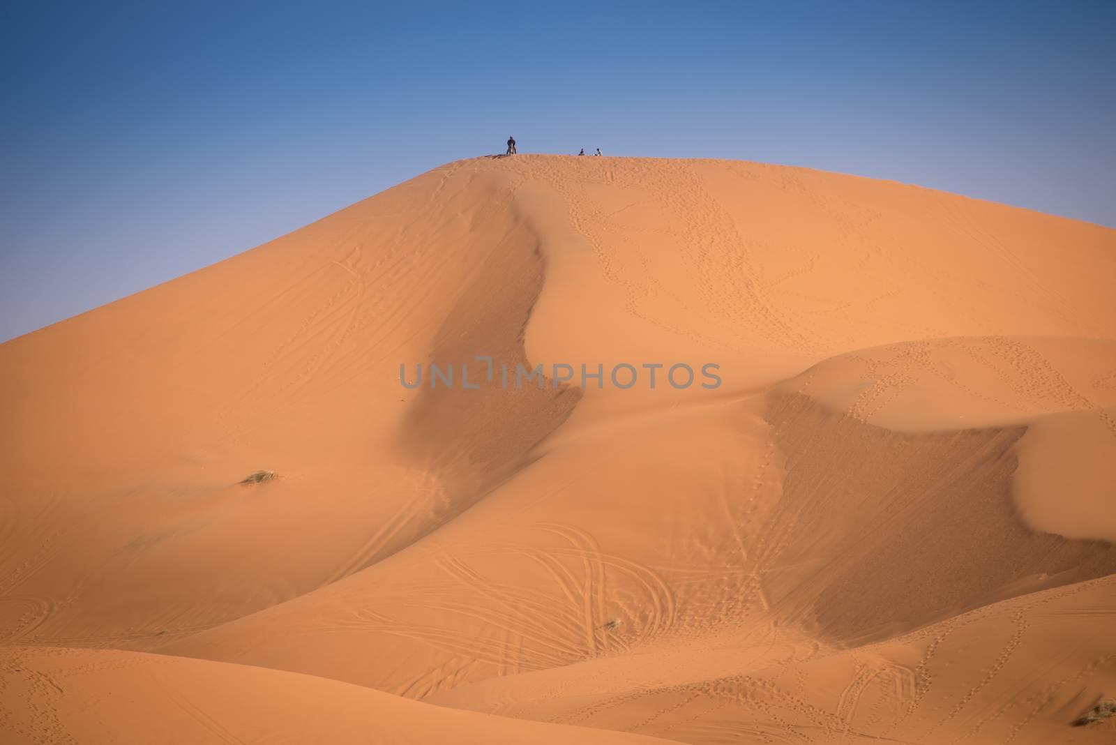 Motorbike rider on the top of the dune, Merzouga, Morocco
