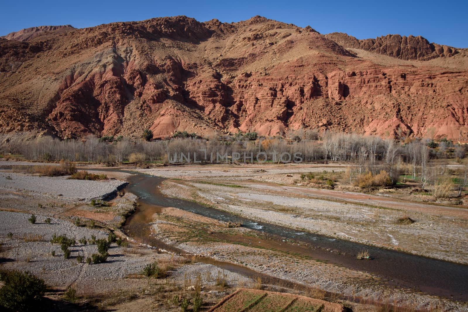 Scenic landscape in Dades Gorges, Atlas Mountains, Morocco by johnnychaos