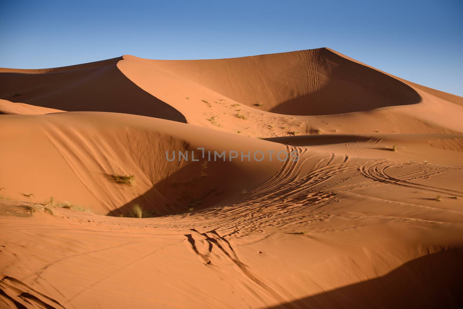 Dunes, Morocco, Sahara Desert by johnnychaos