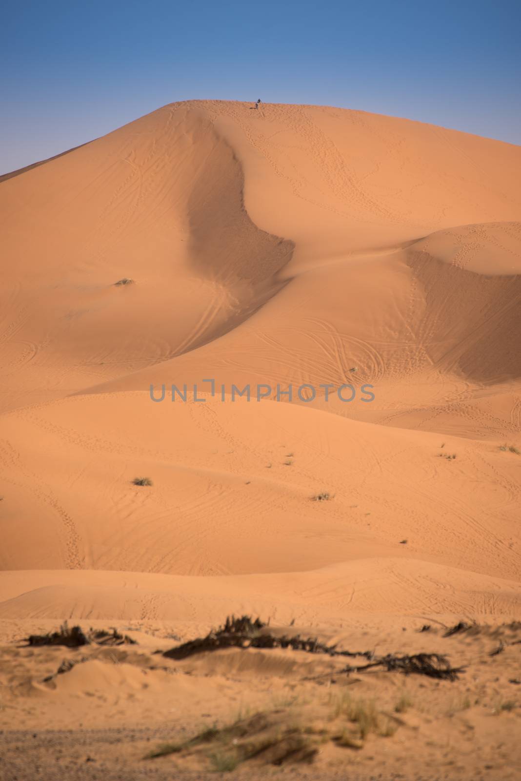 Dunes, Morocco, Sahara Desert by johnnychaos